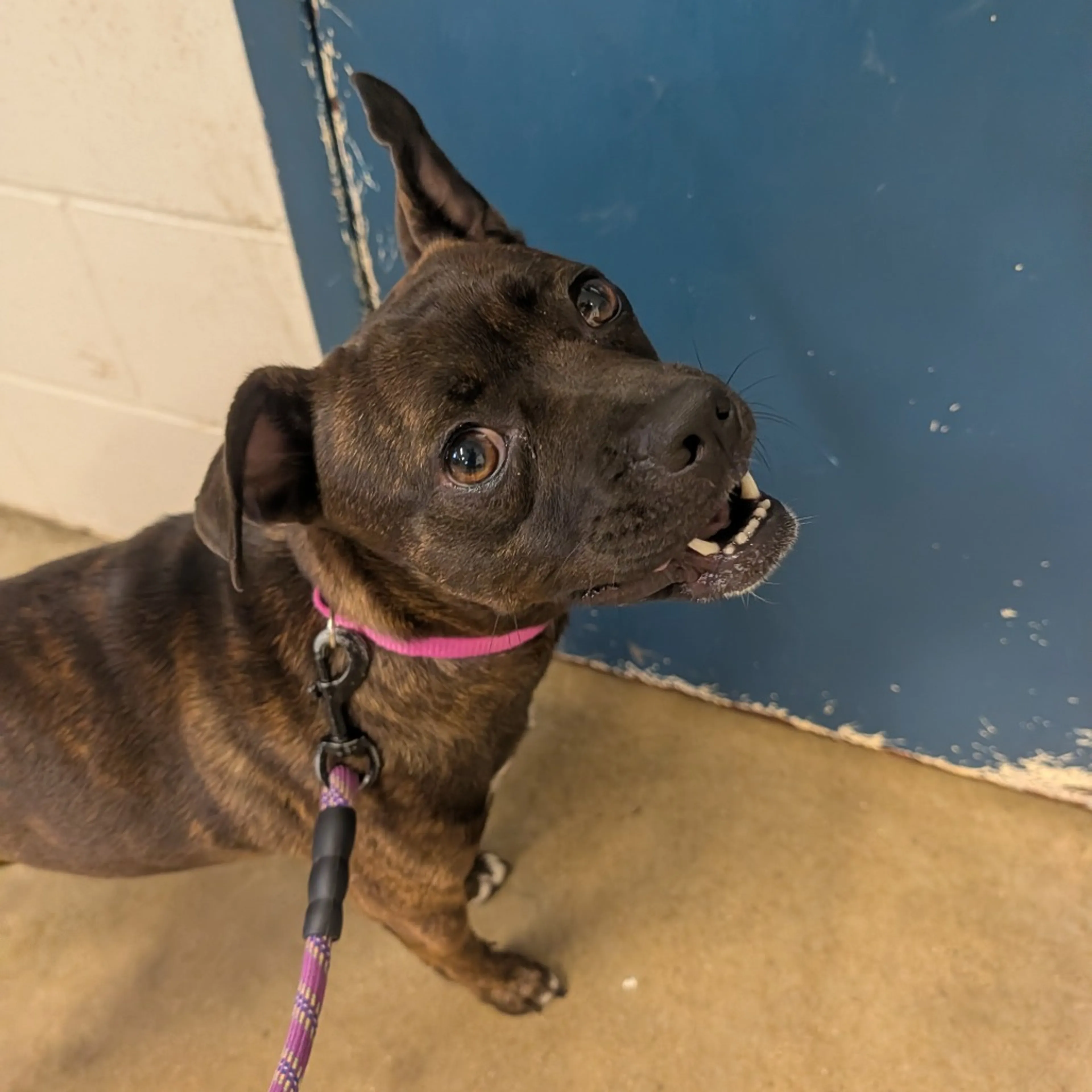 -1