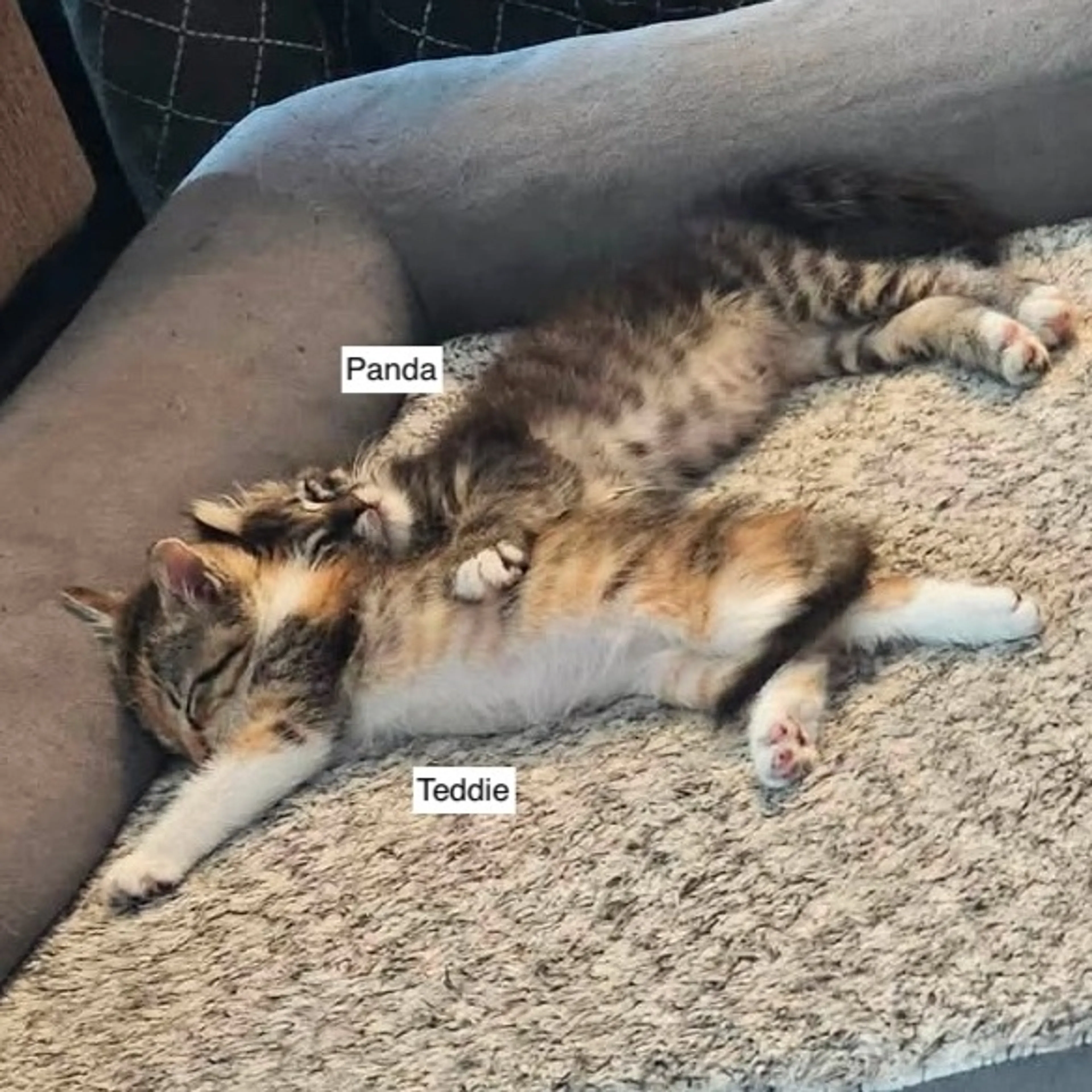 -2