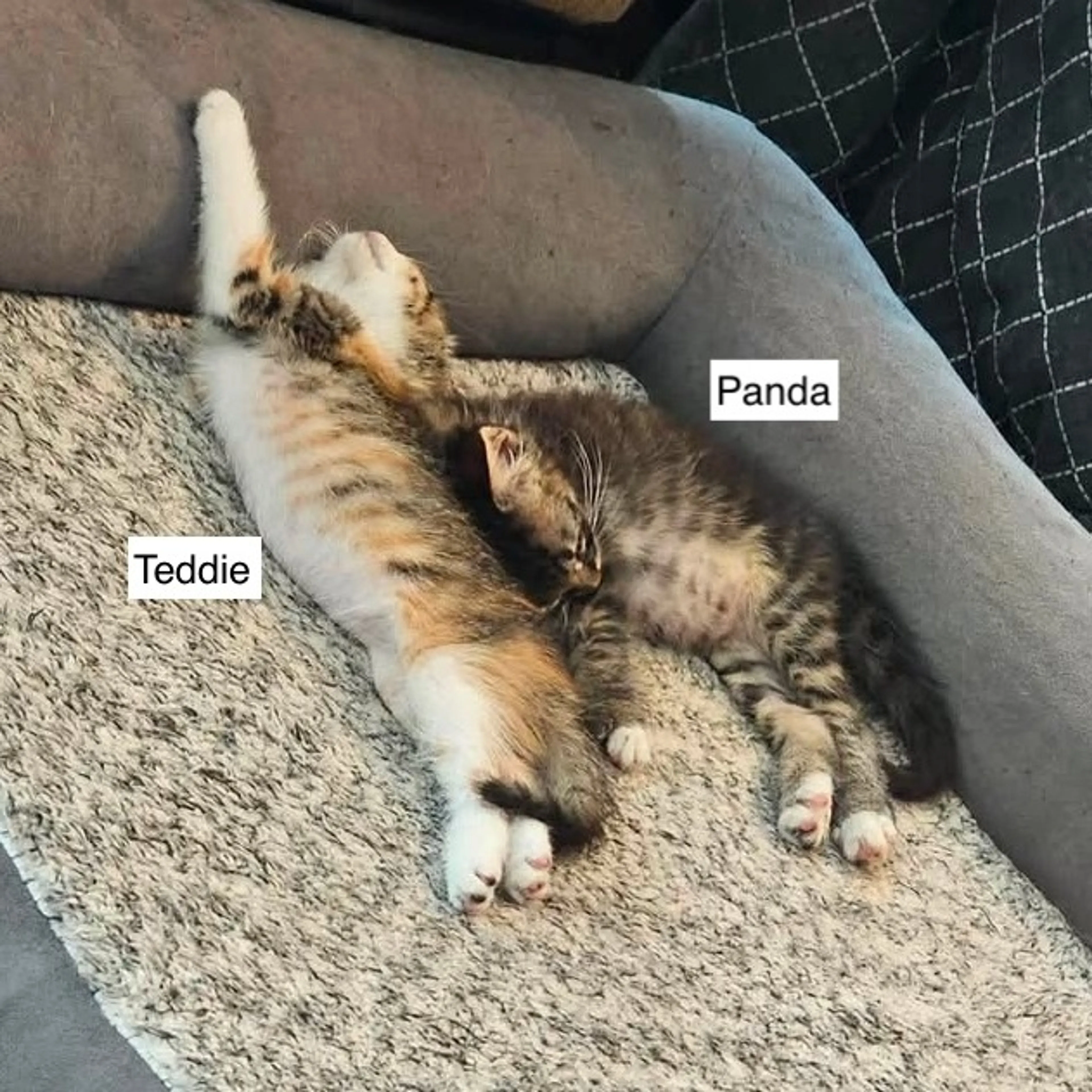 -1