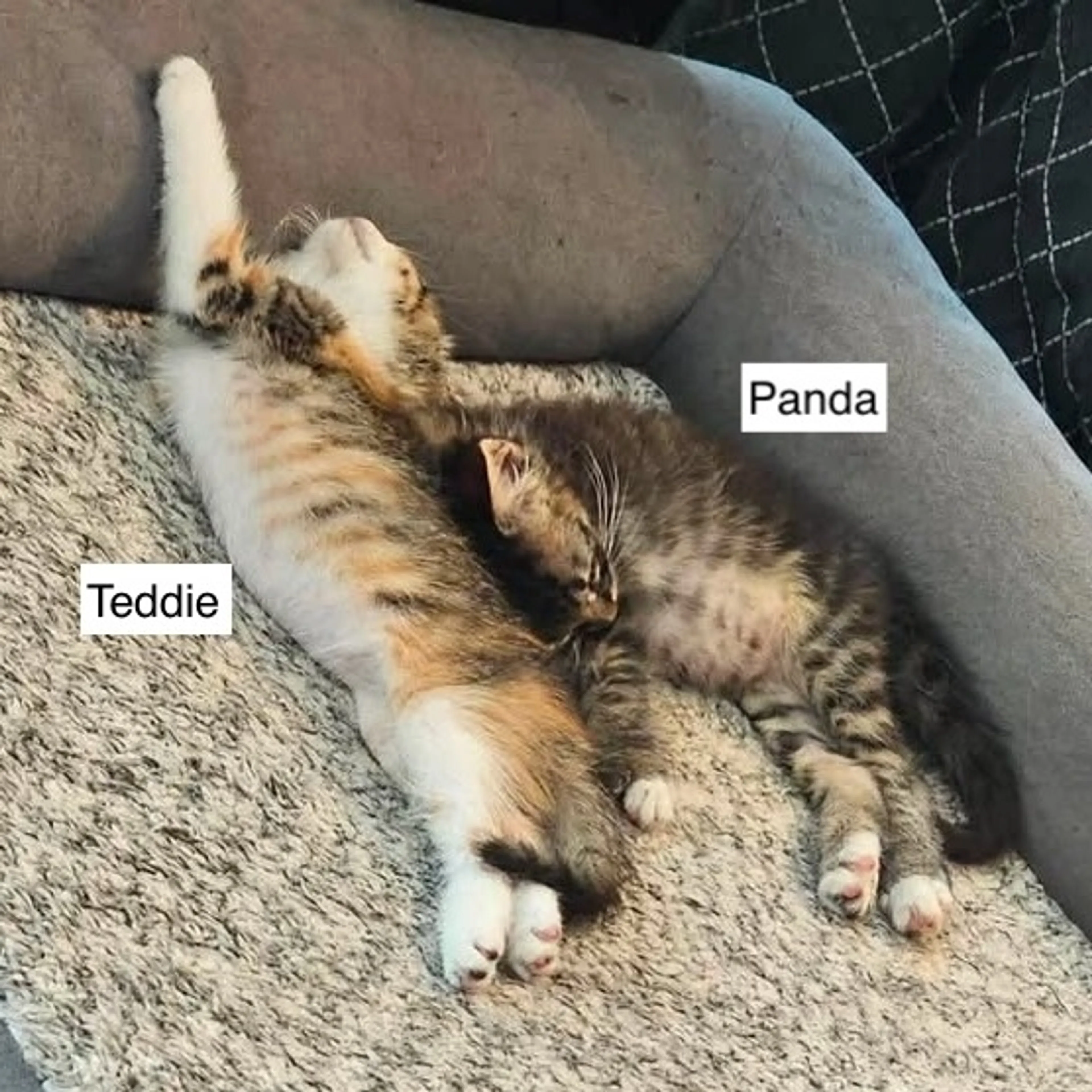 -3