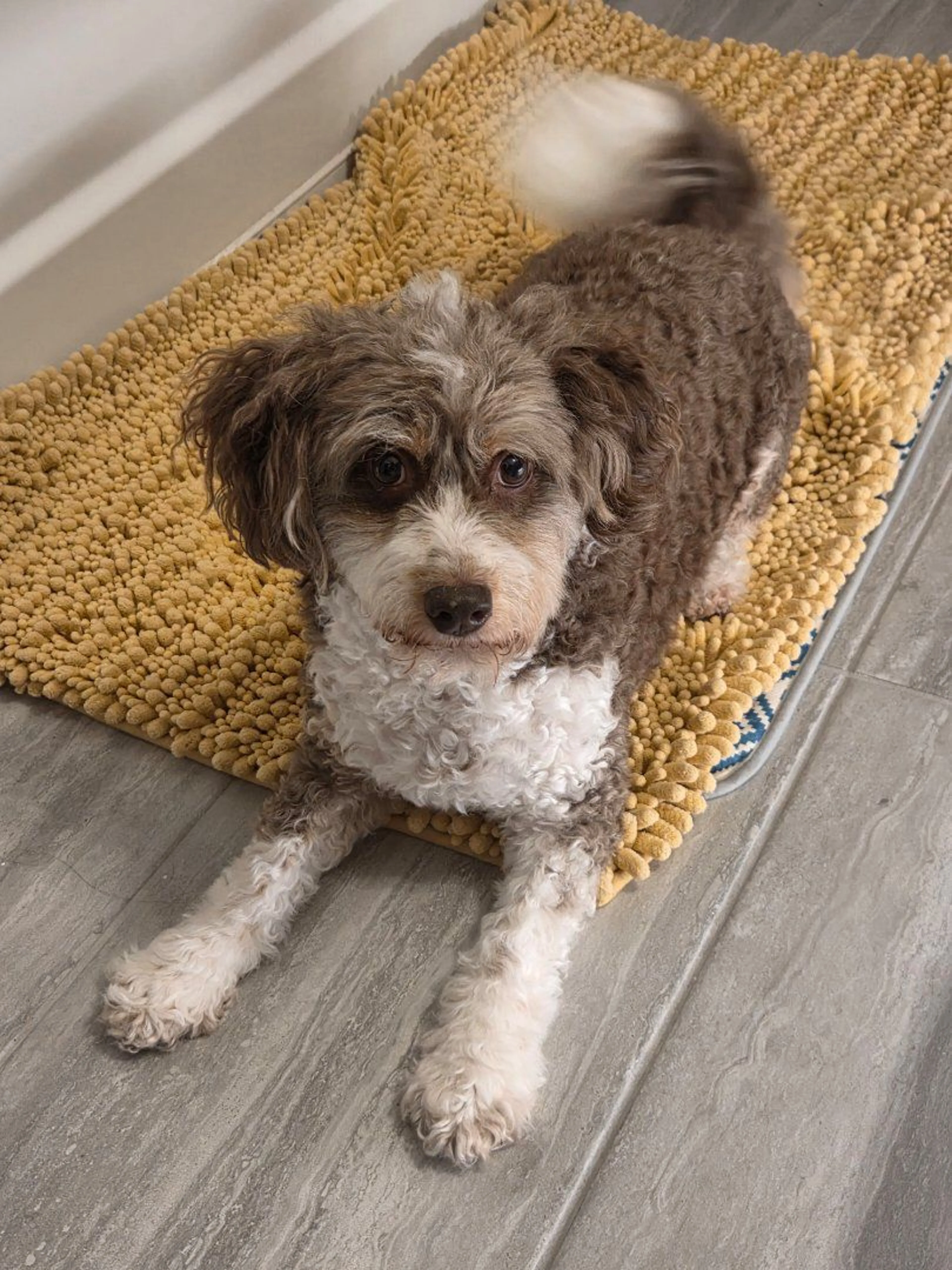 -1
