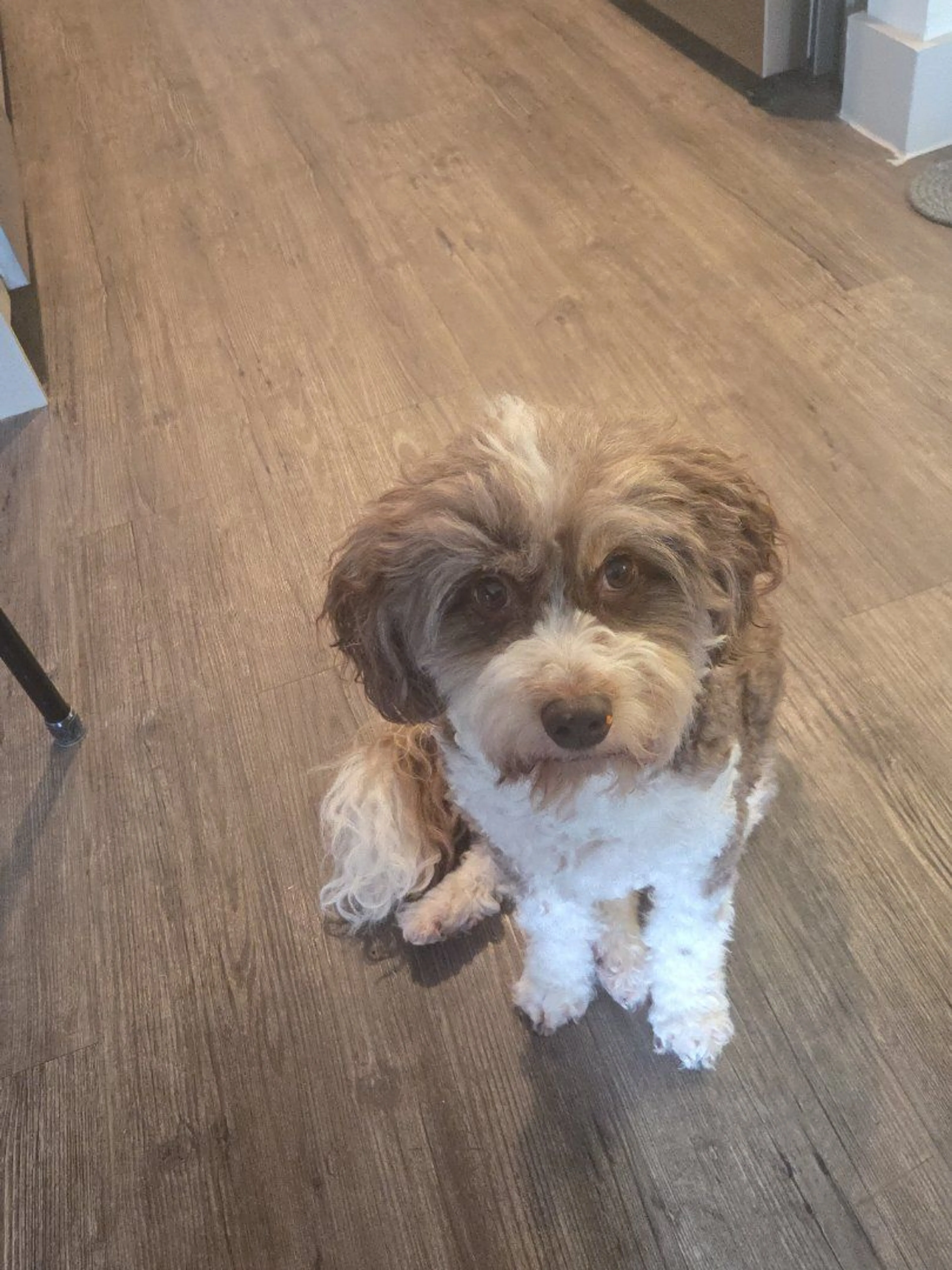 -0