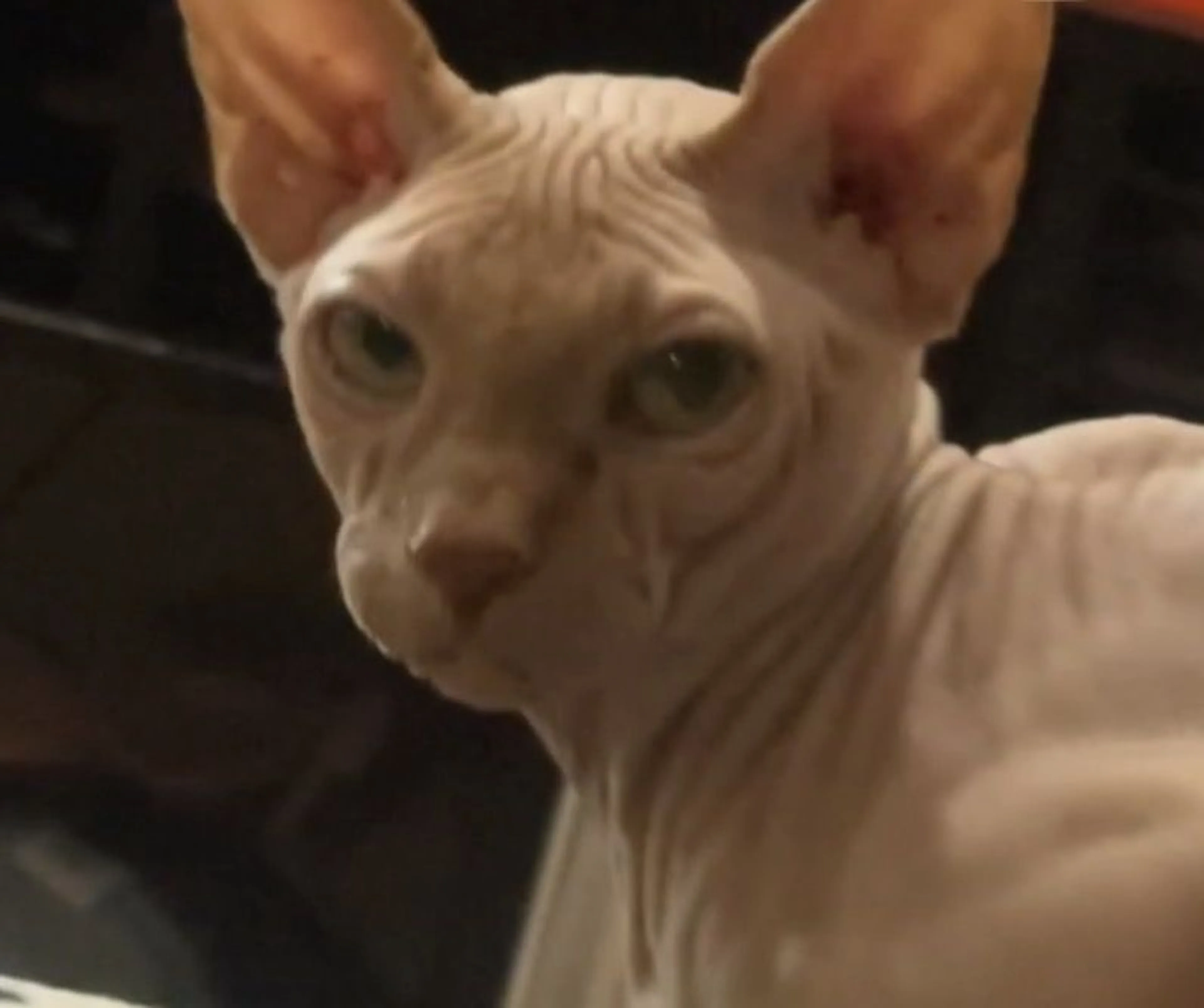 -4