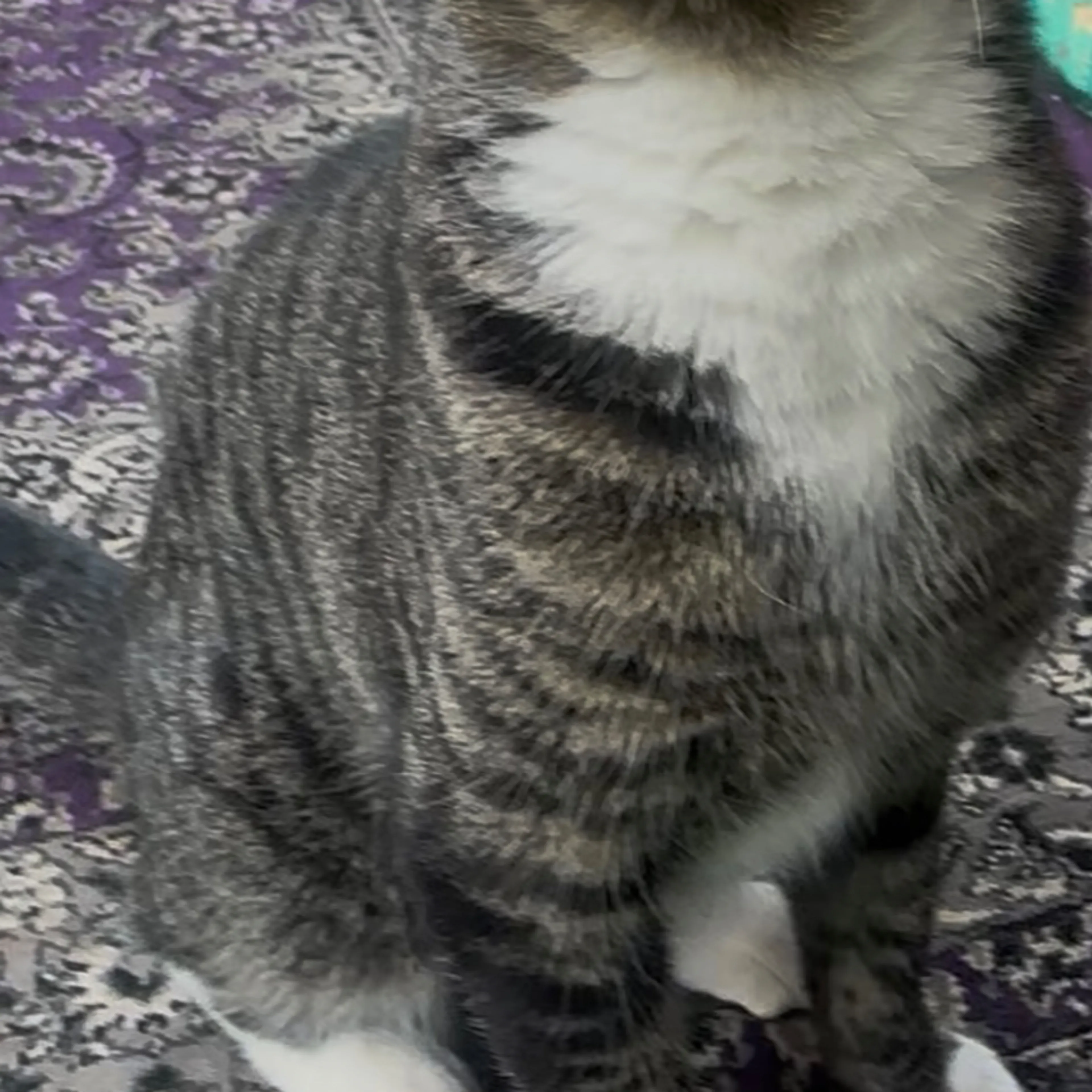 -1