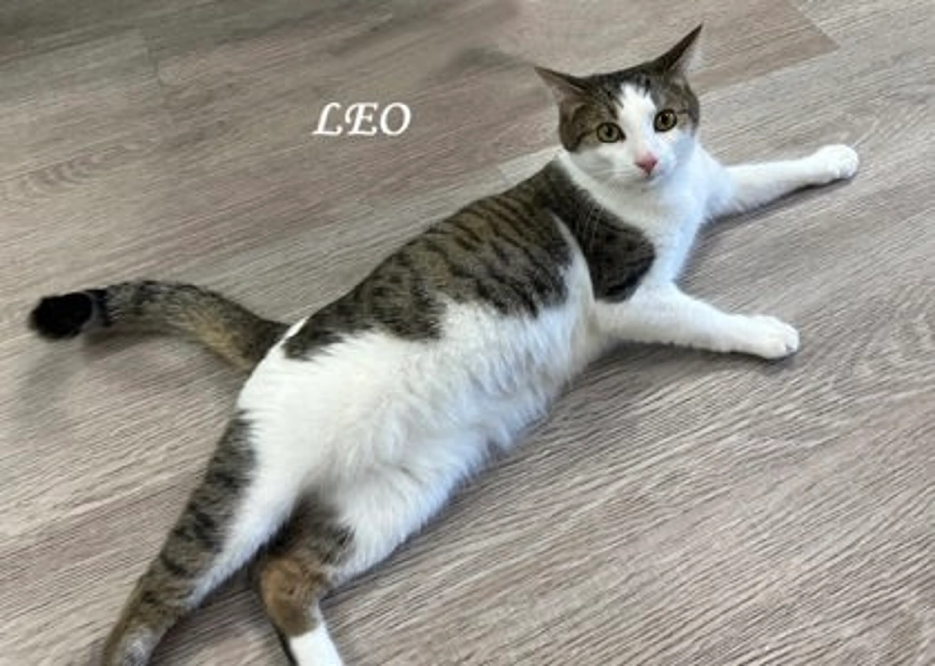 -1