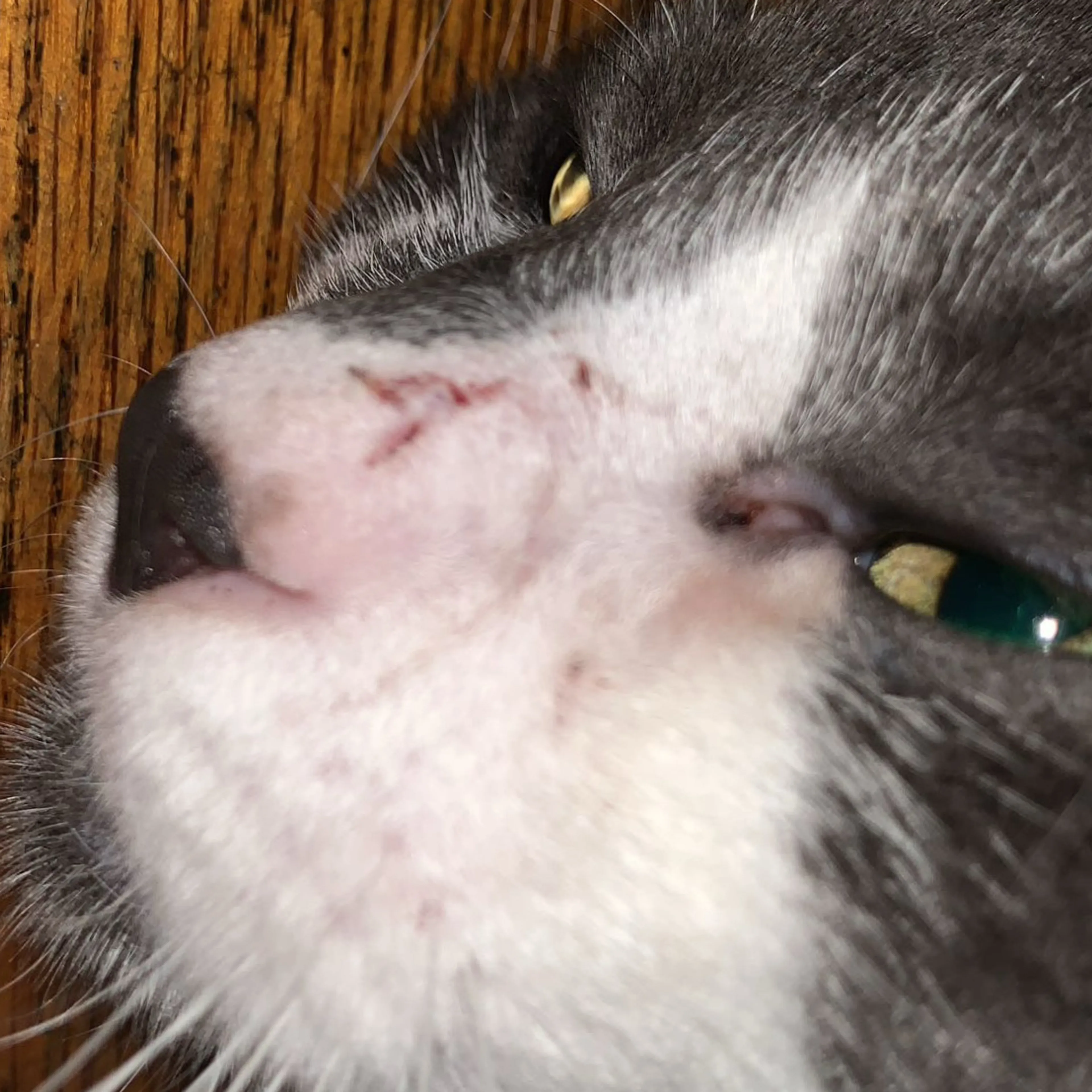 -3