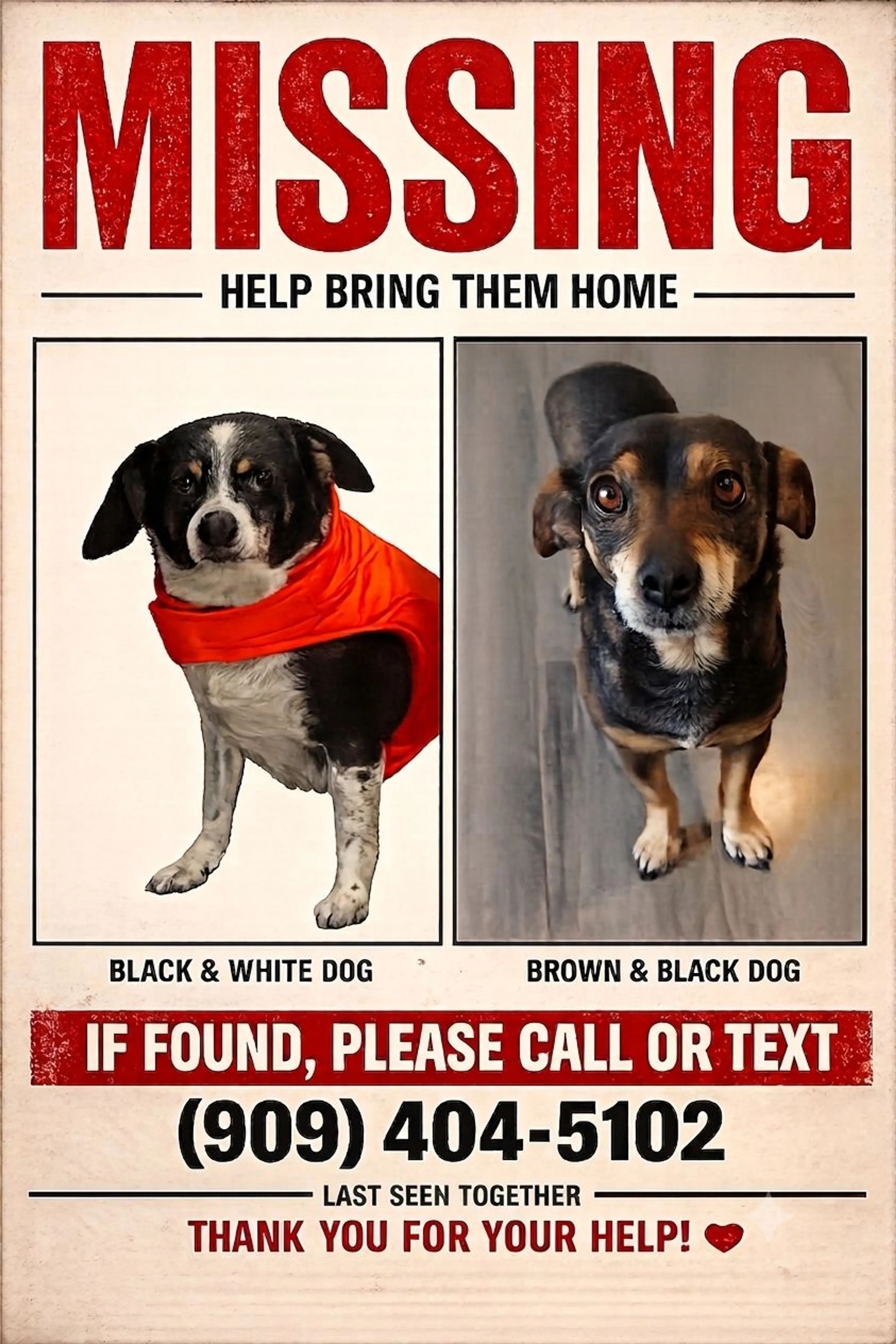 cdn image
