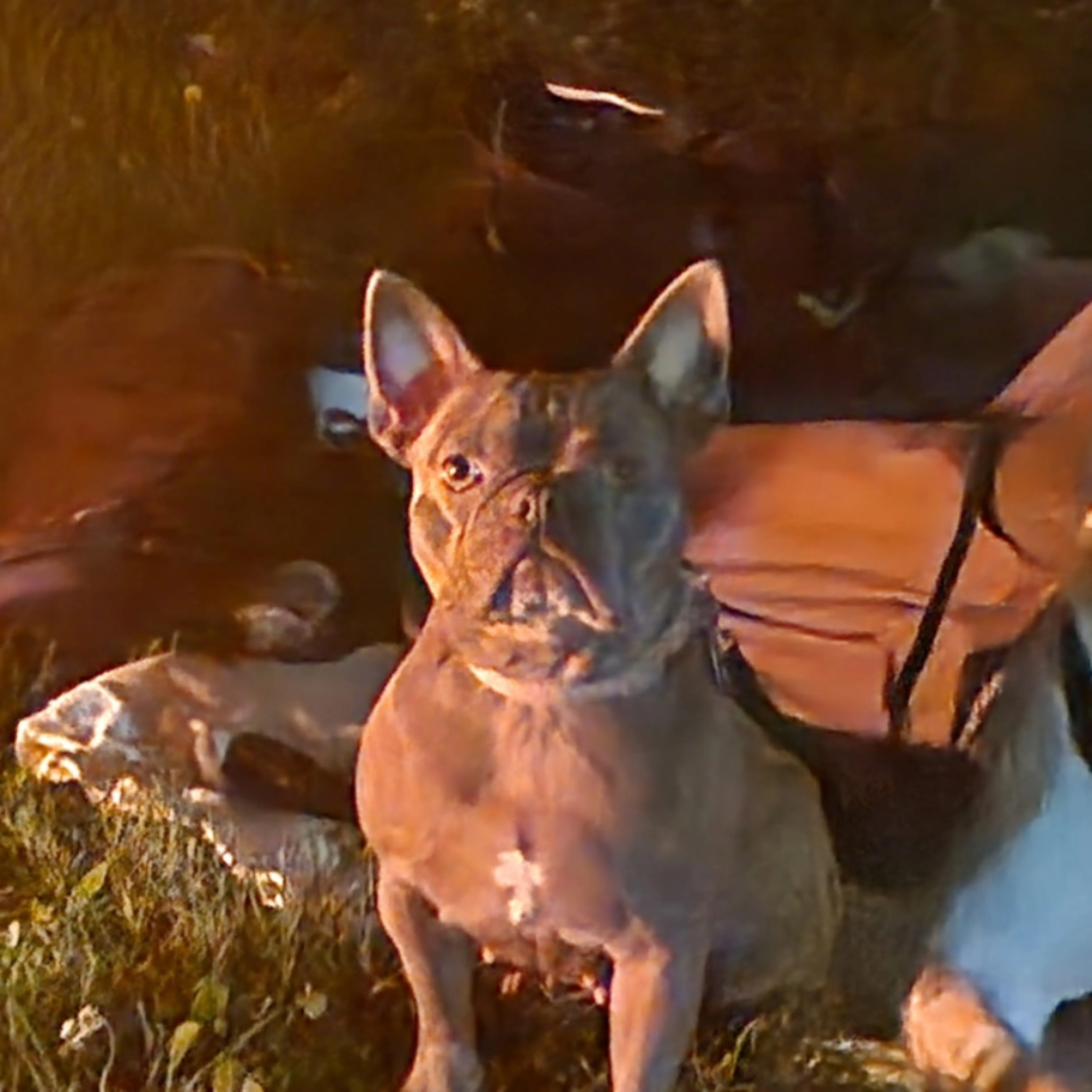 -0