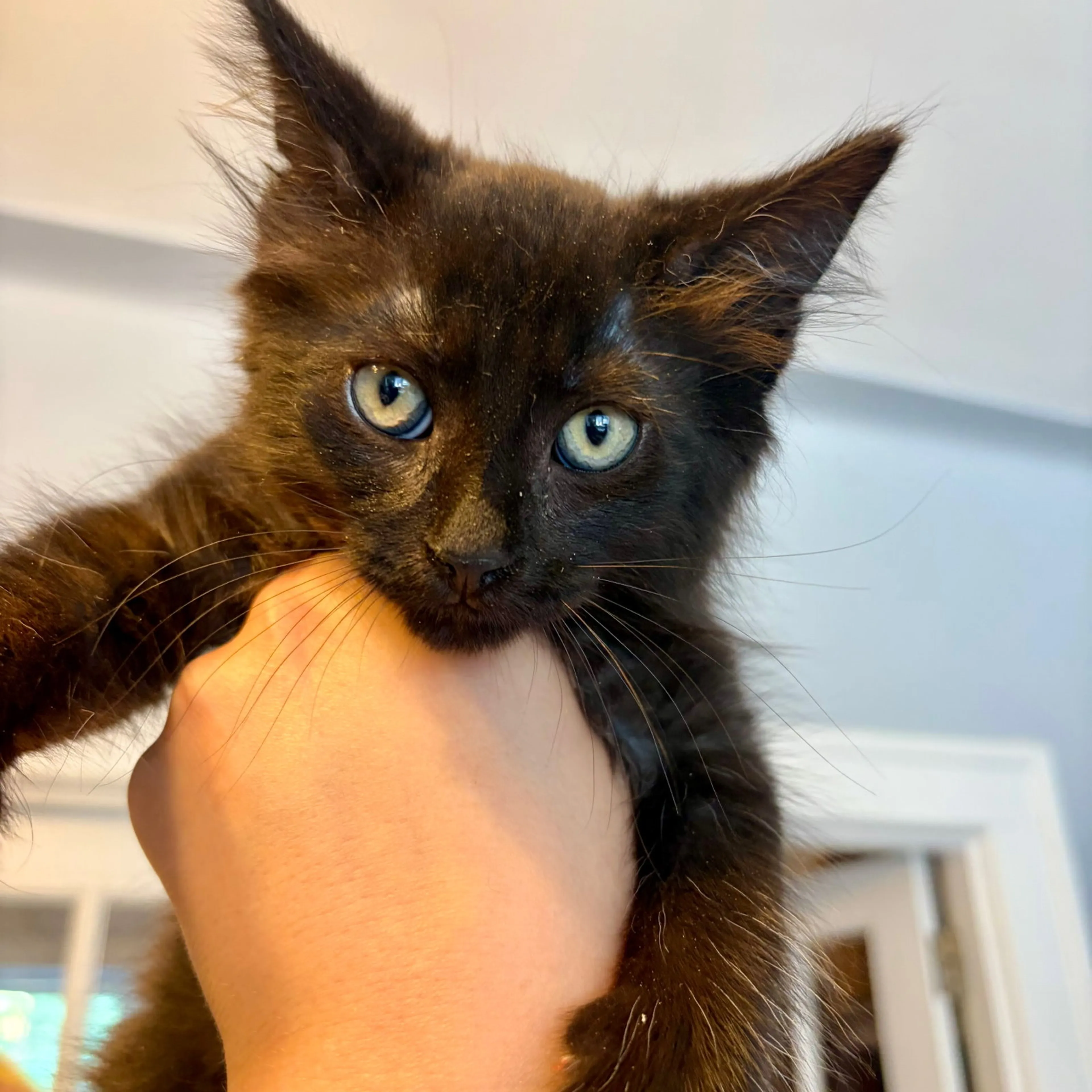 -2