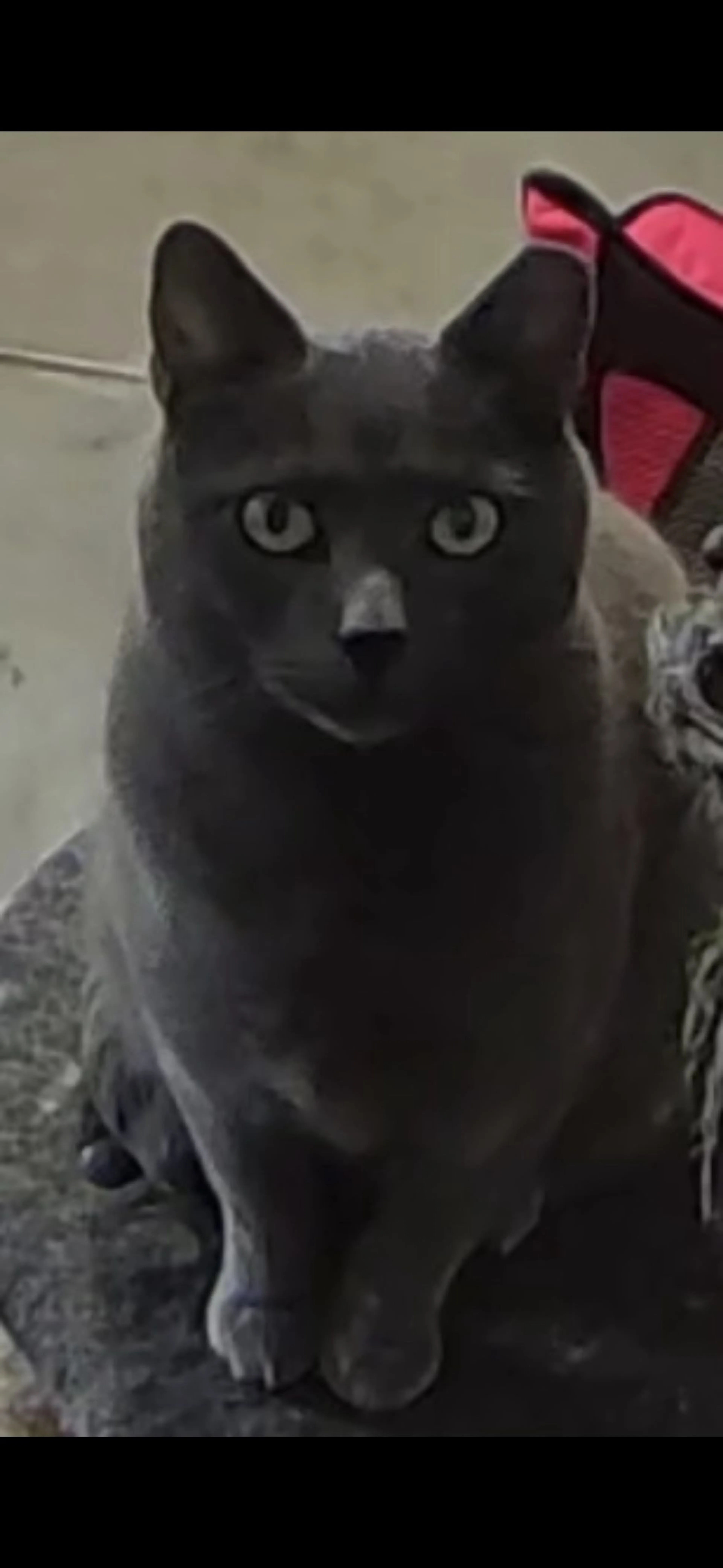 -0