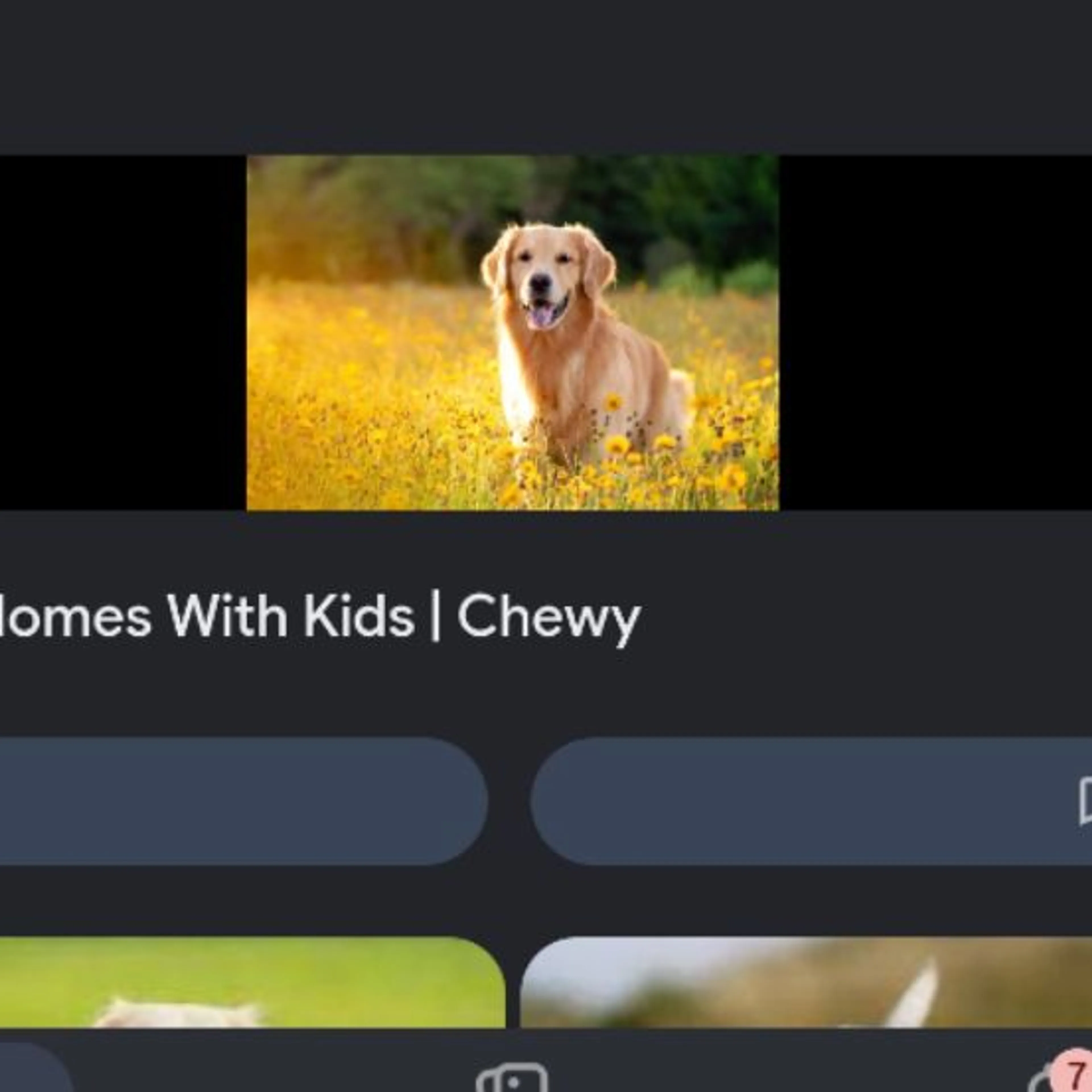 cdn image