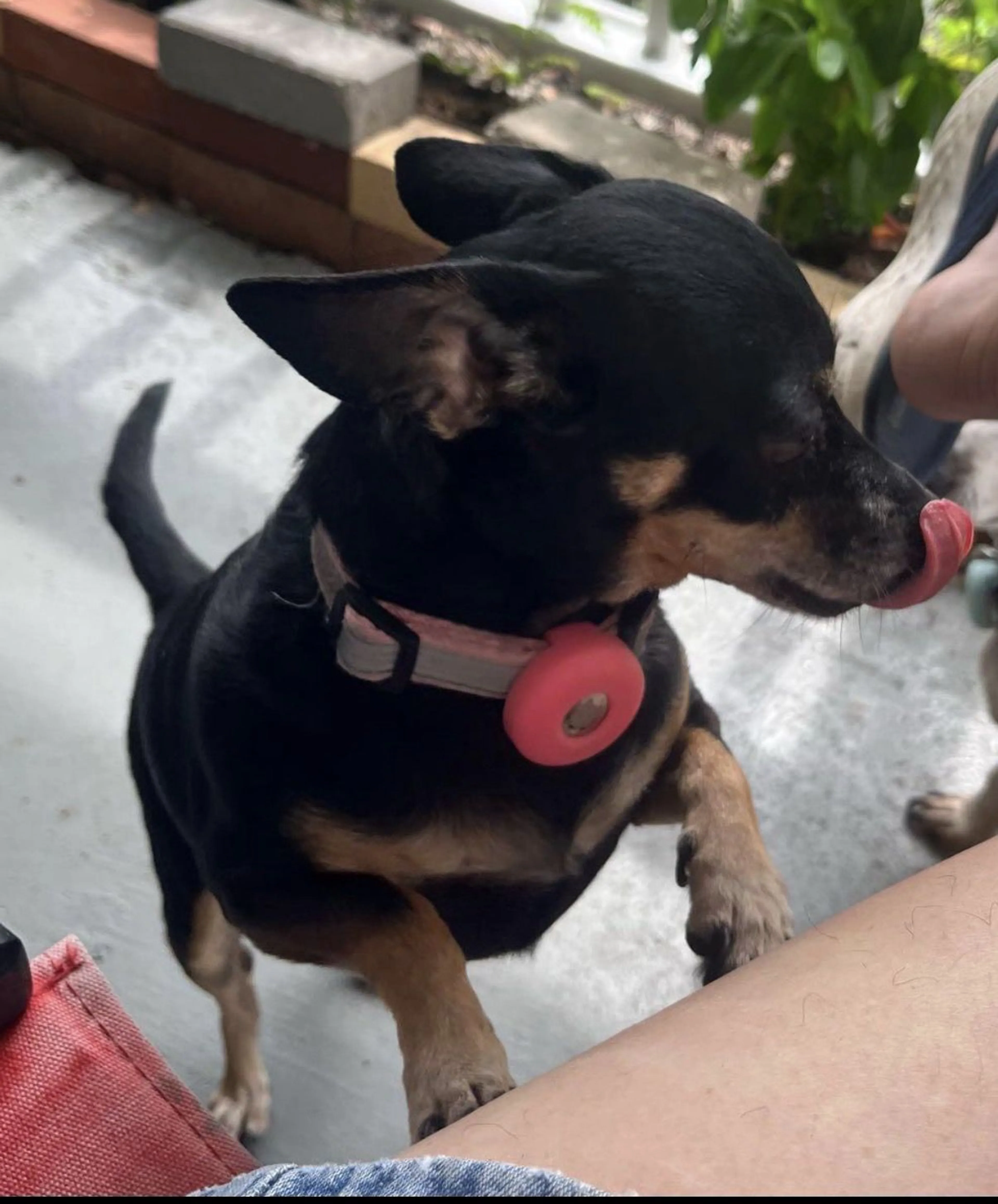 -1