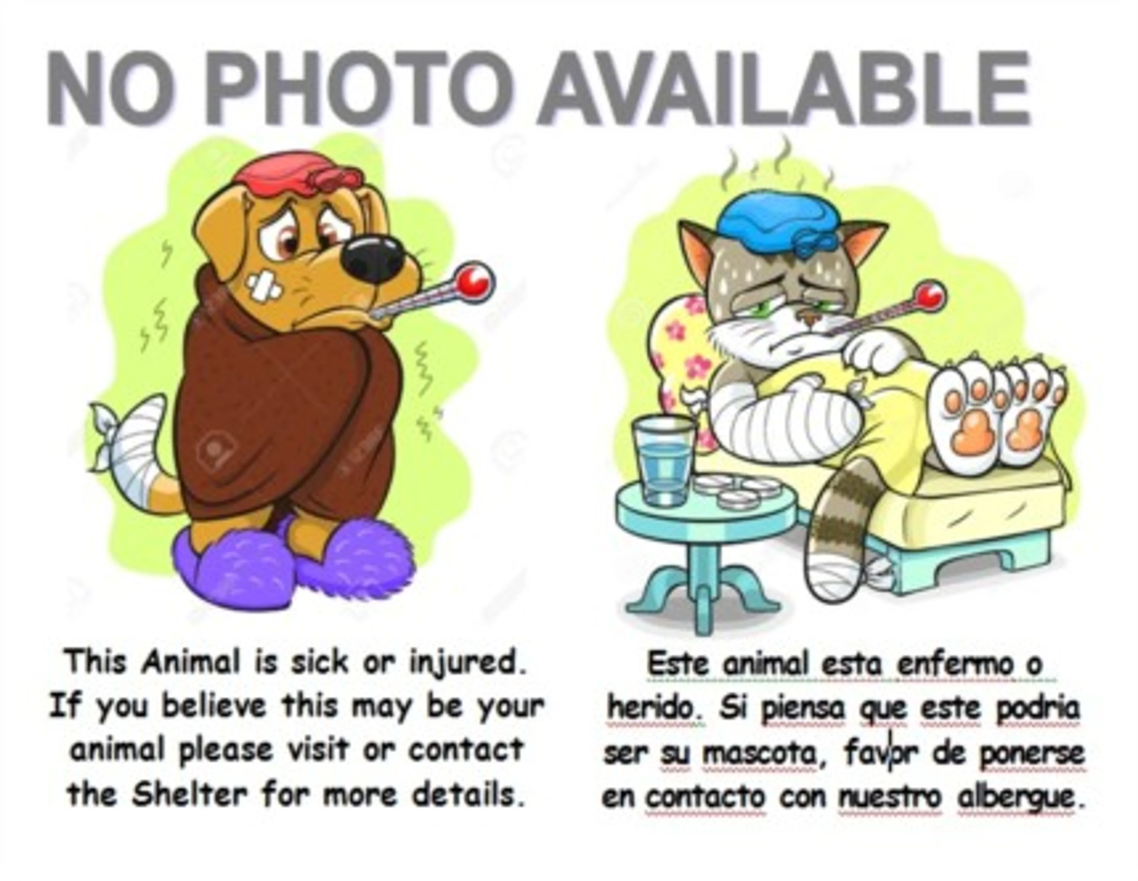 cdn image