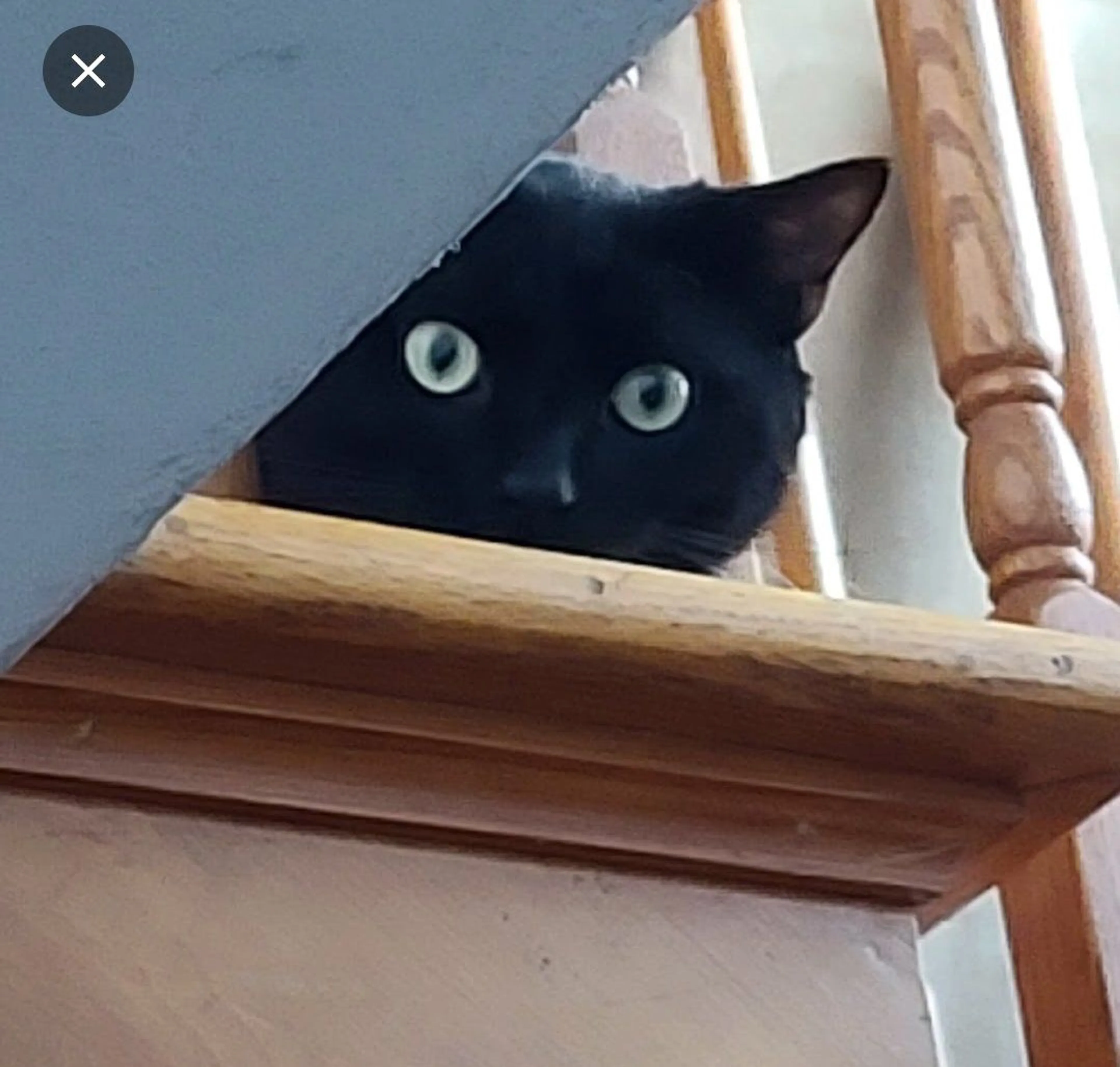 -3