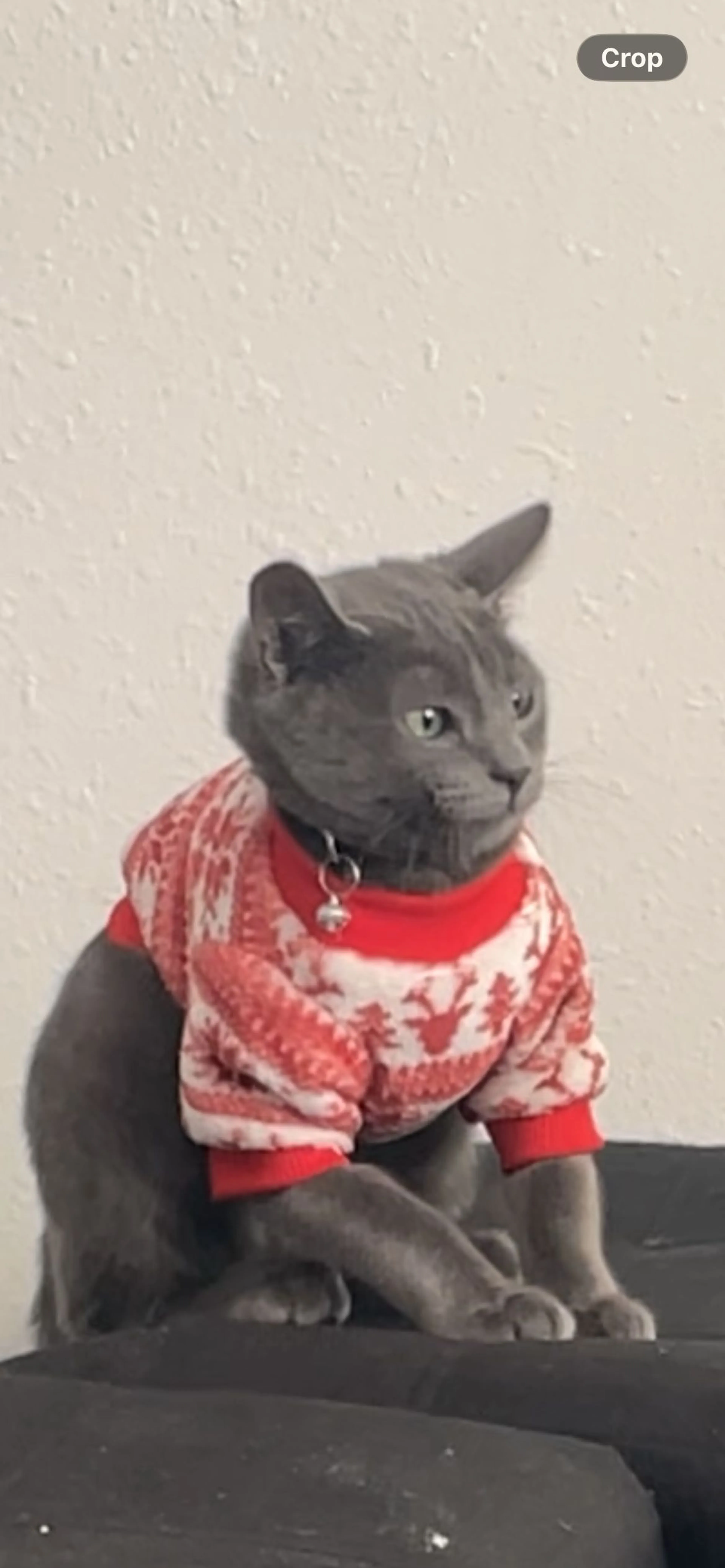 -1