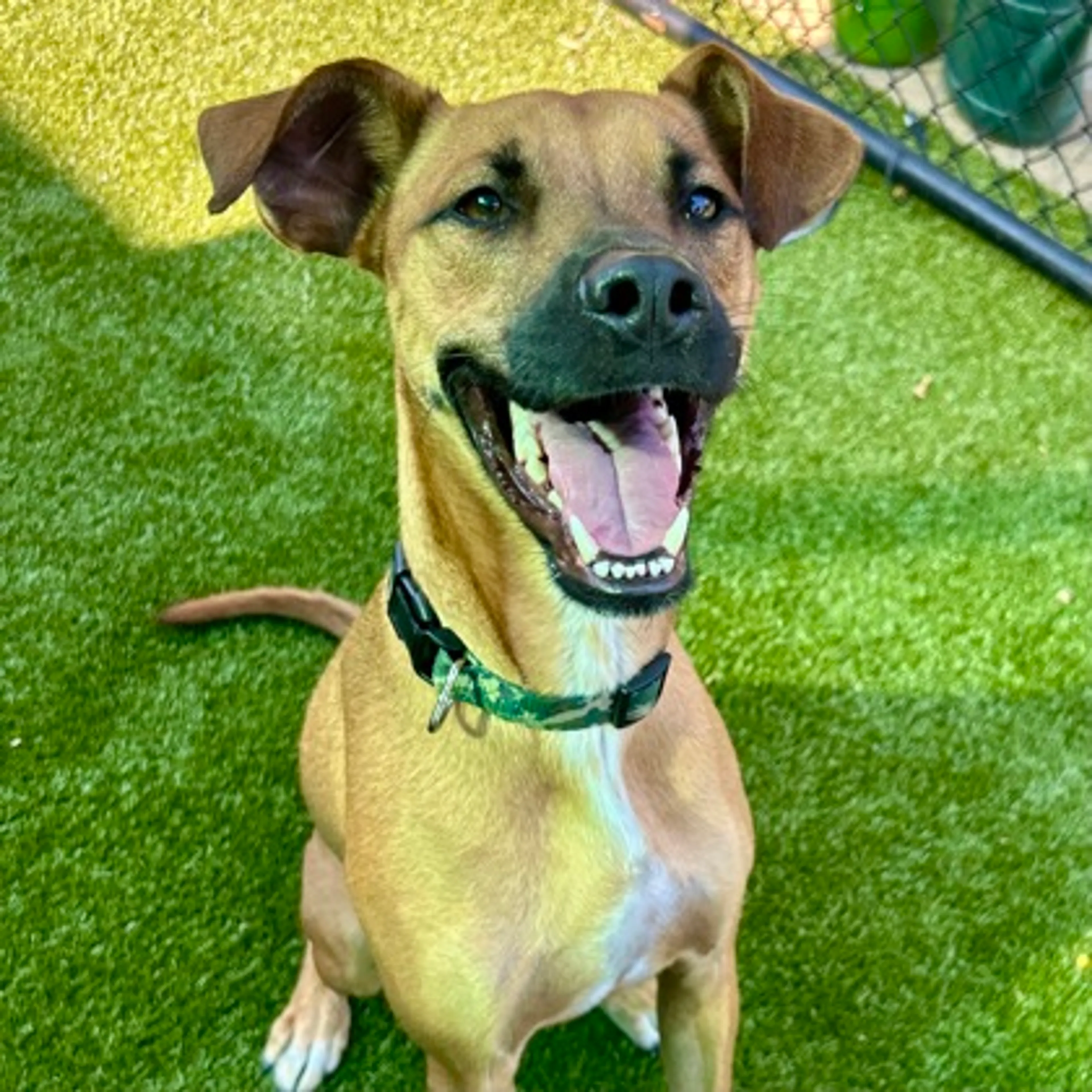 -1