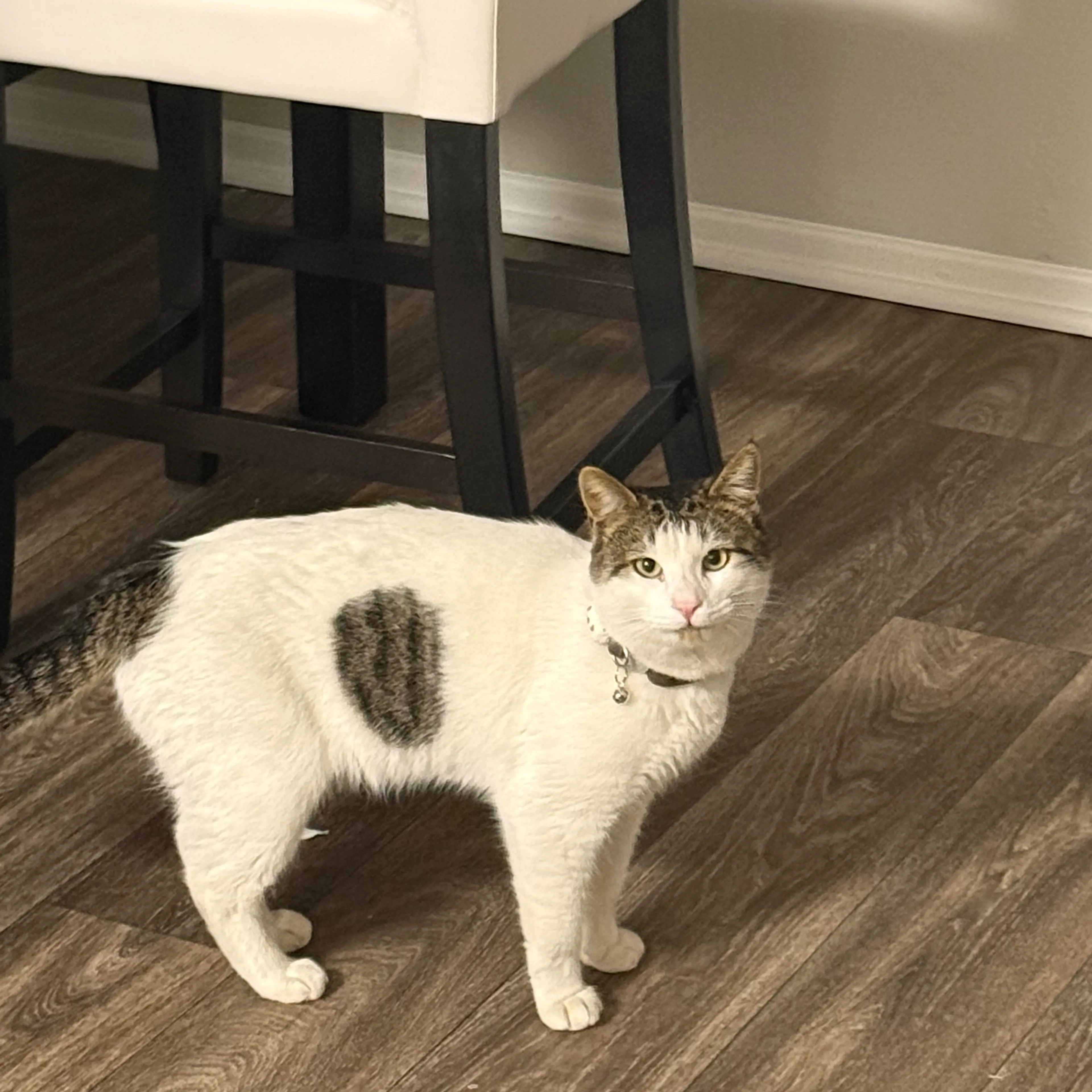 -1