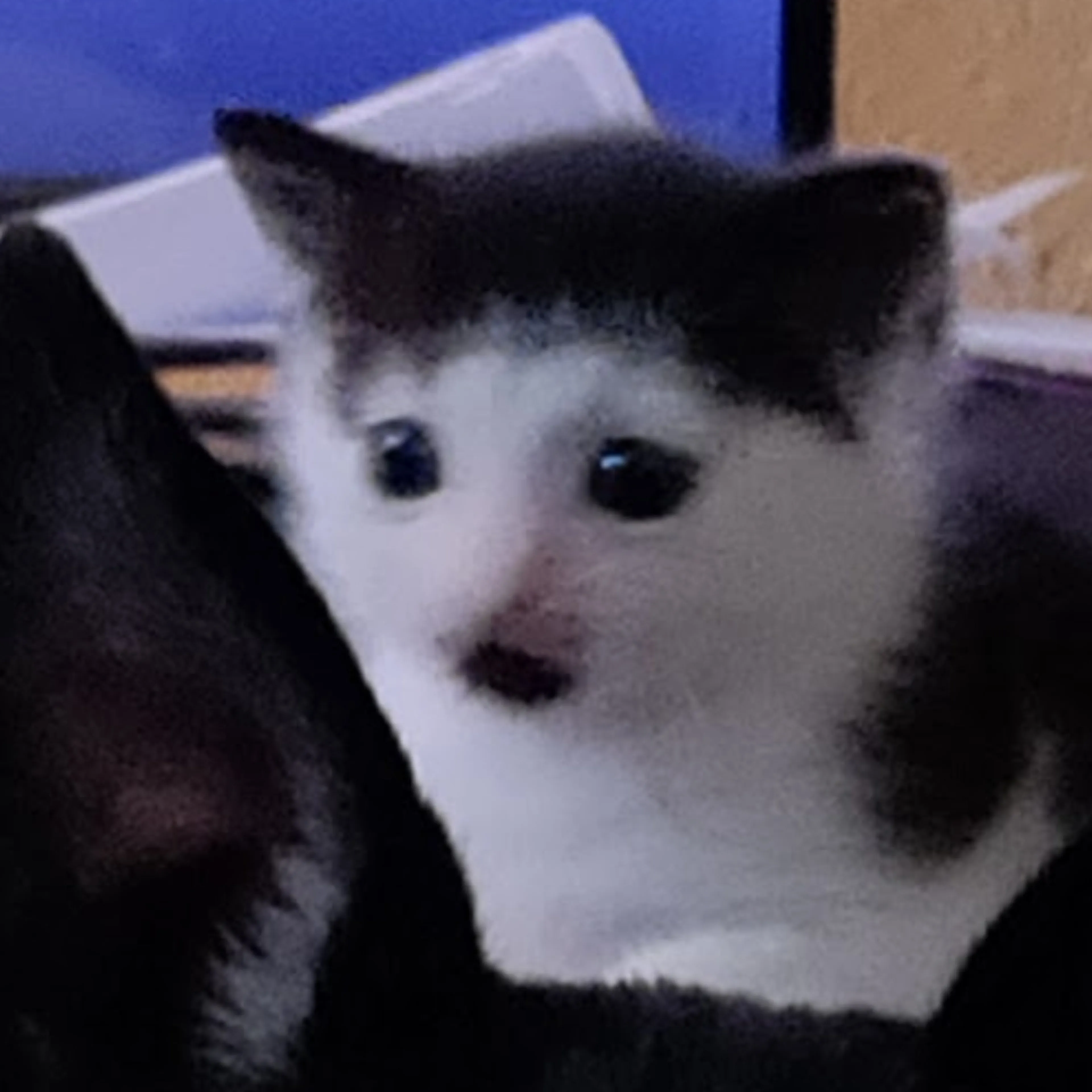 -1