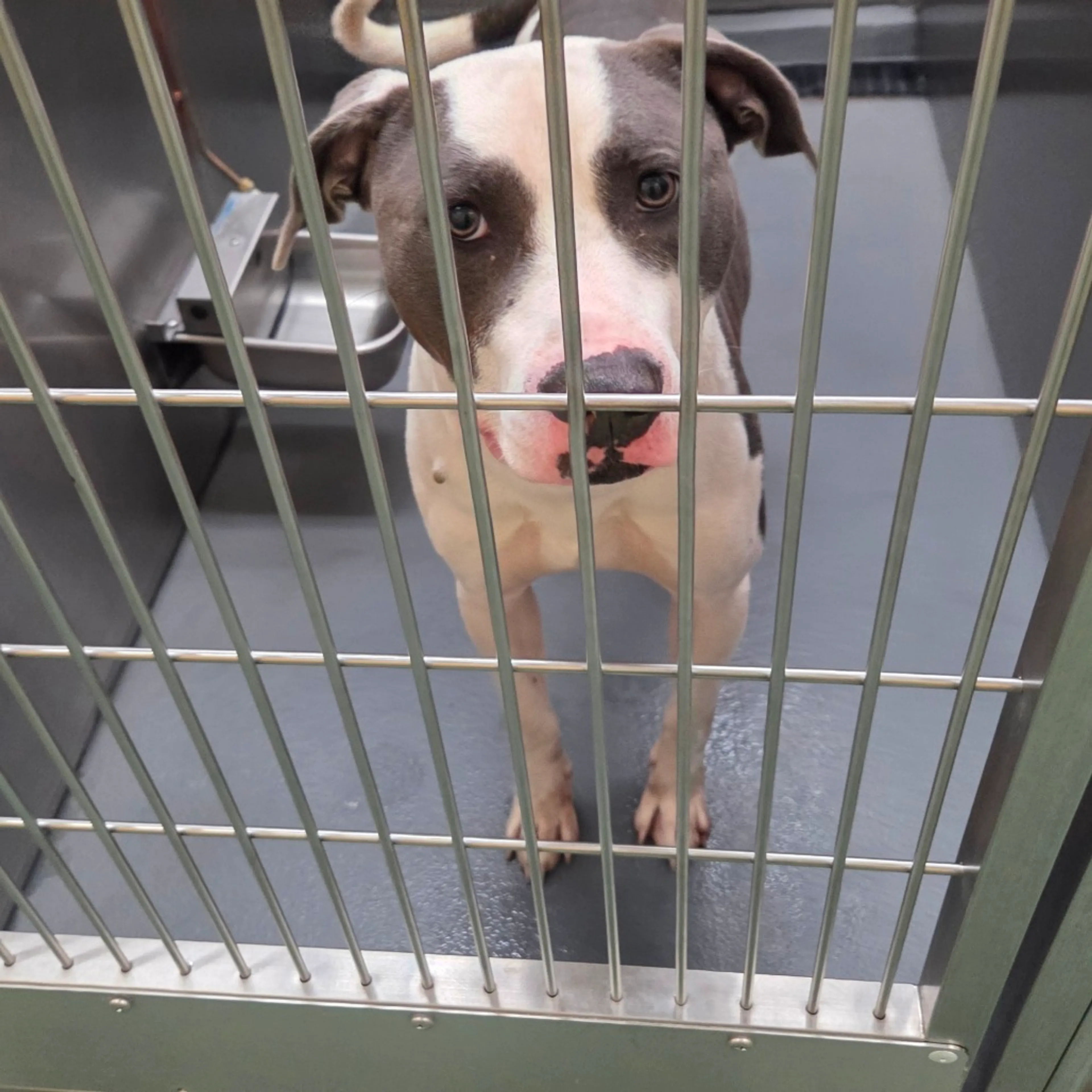 -1