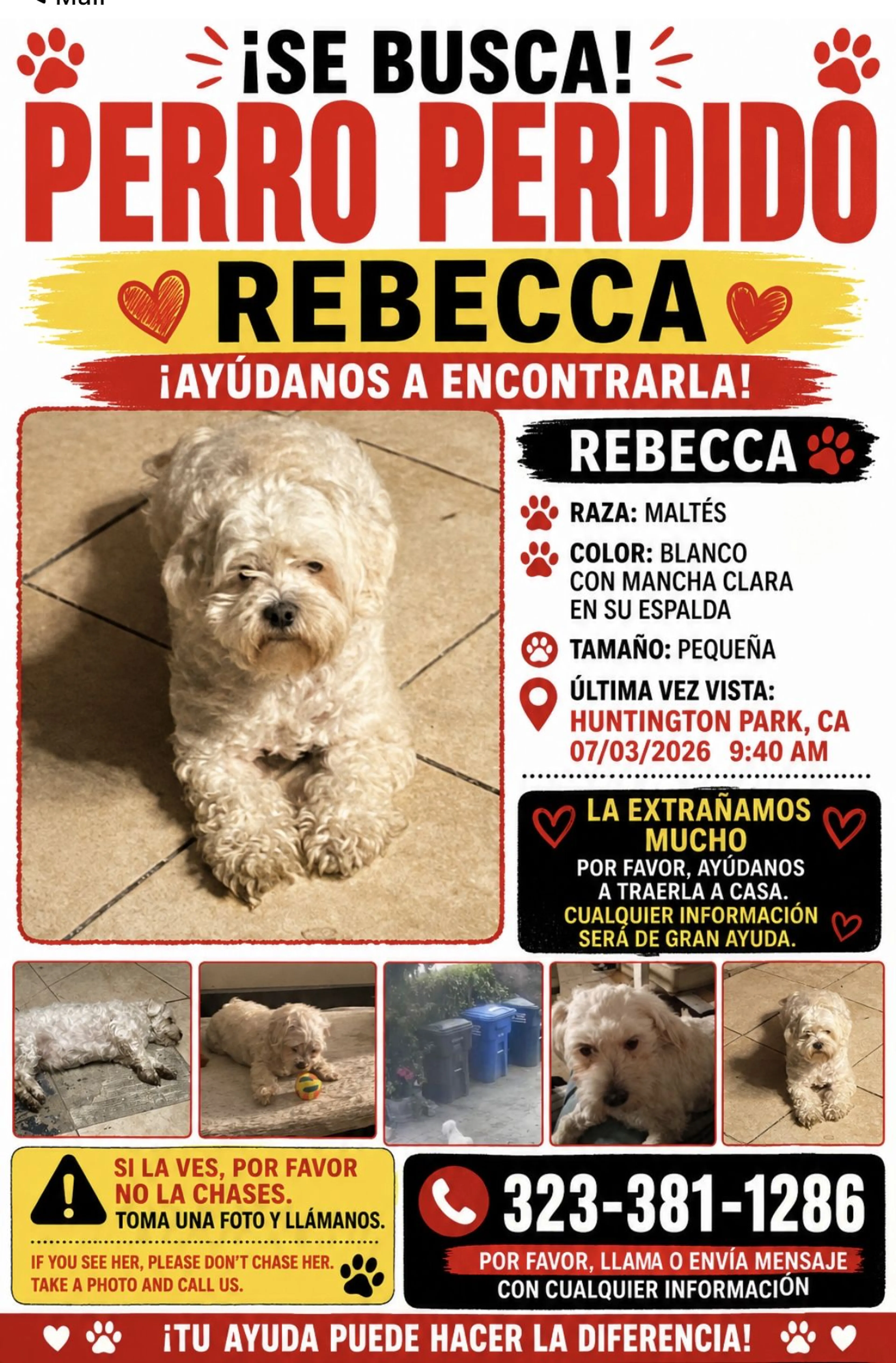 cdn image