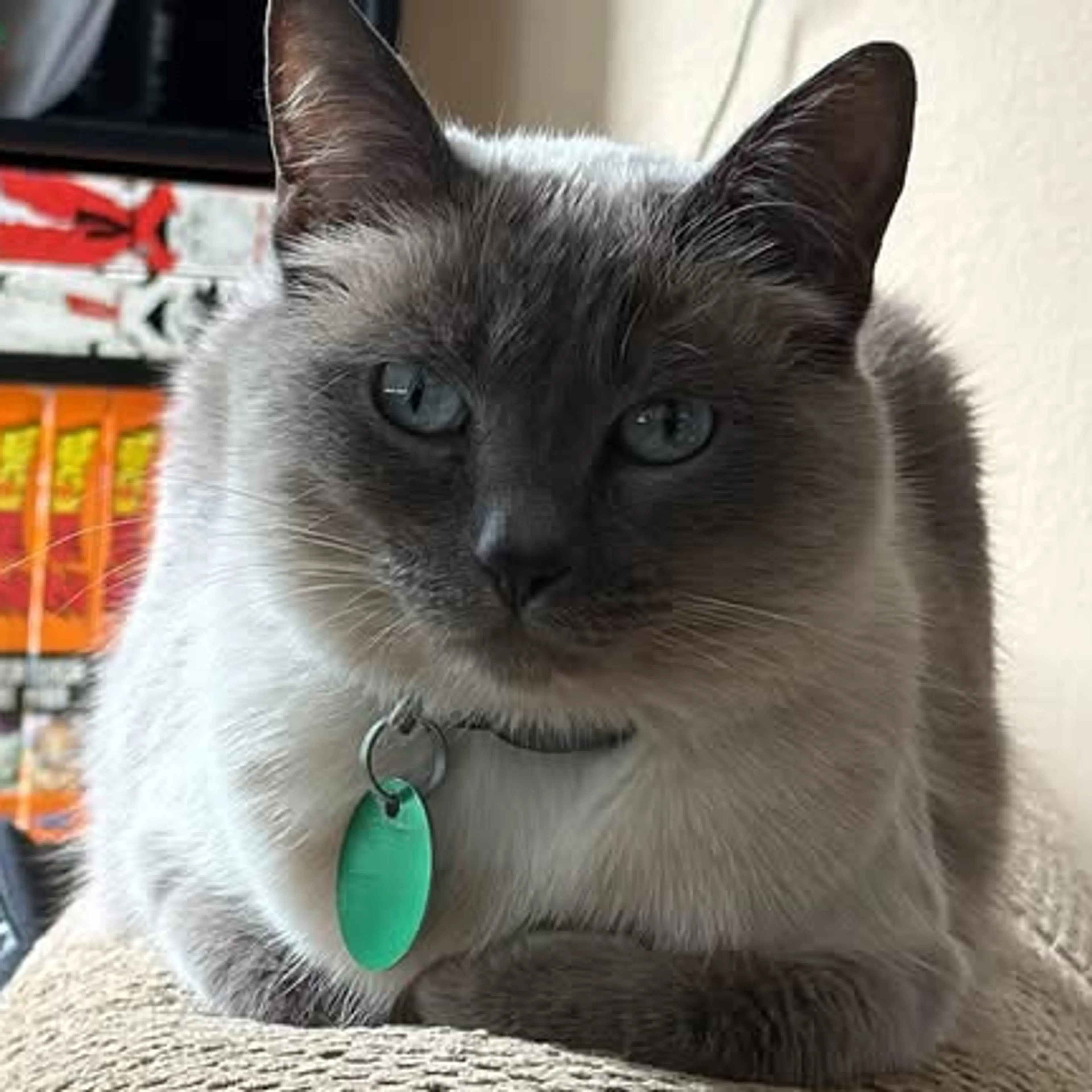 -1