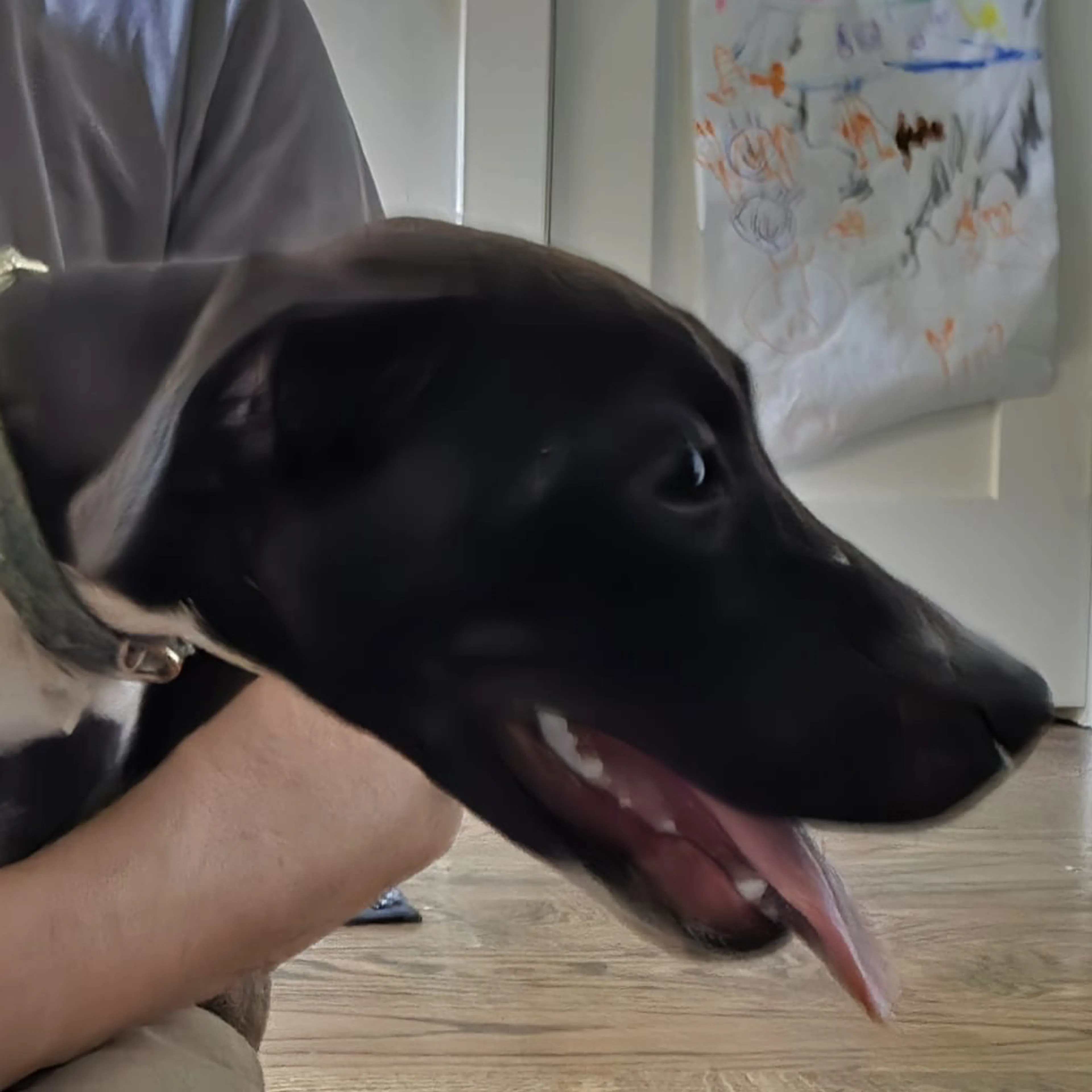 -2