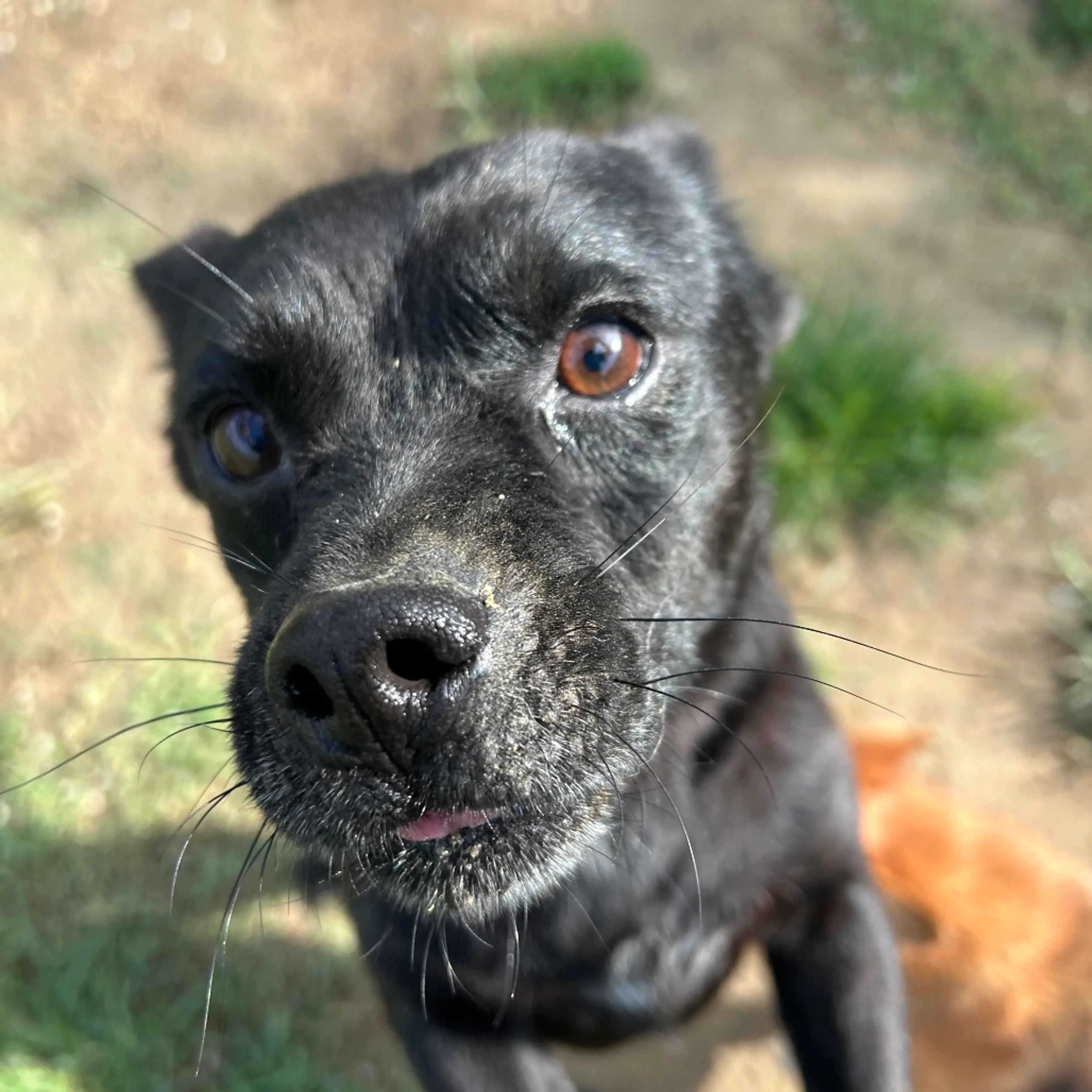 -9