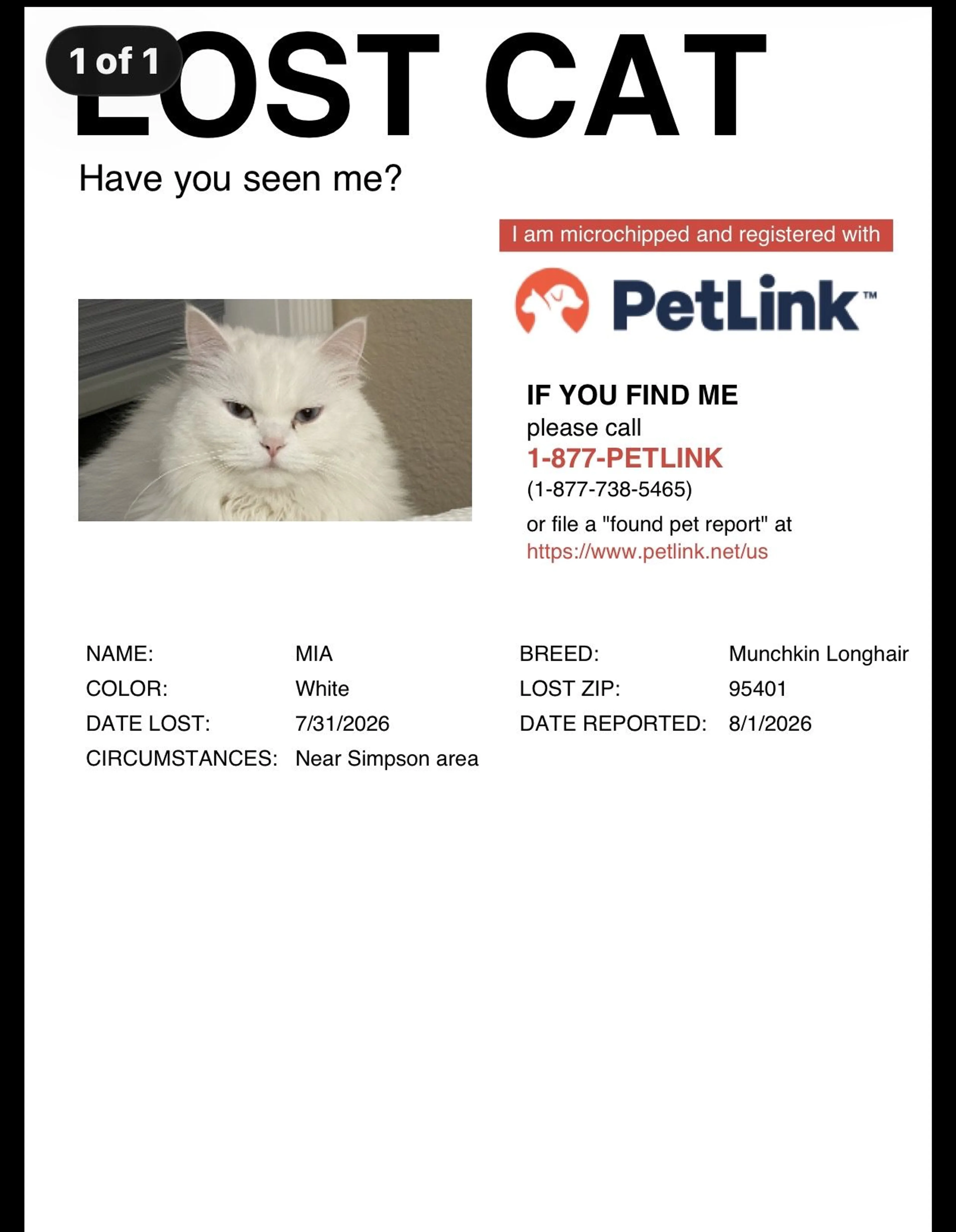 cdn image