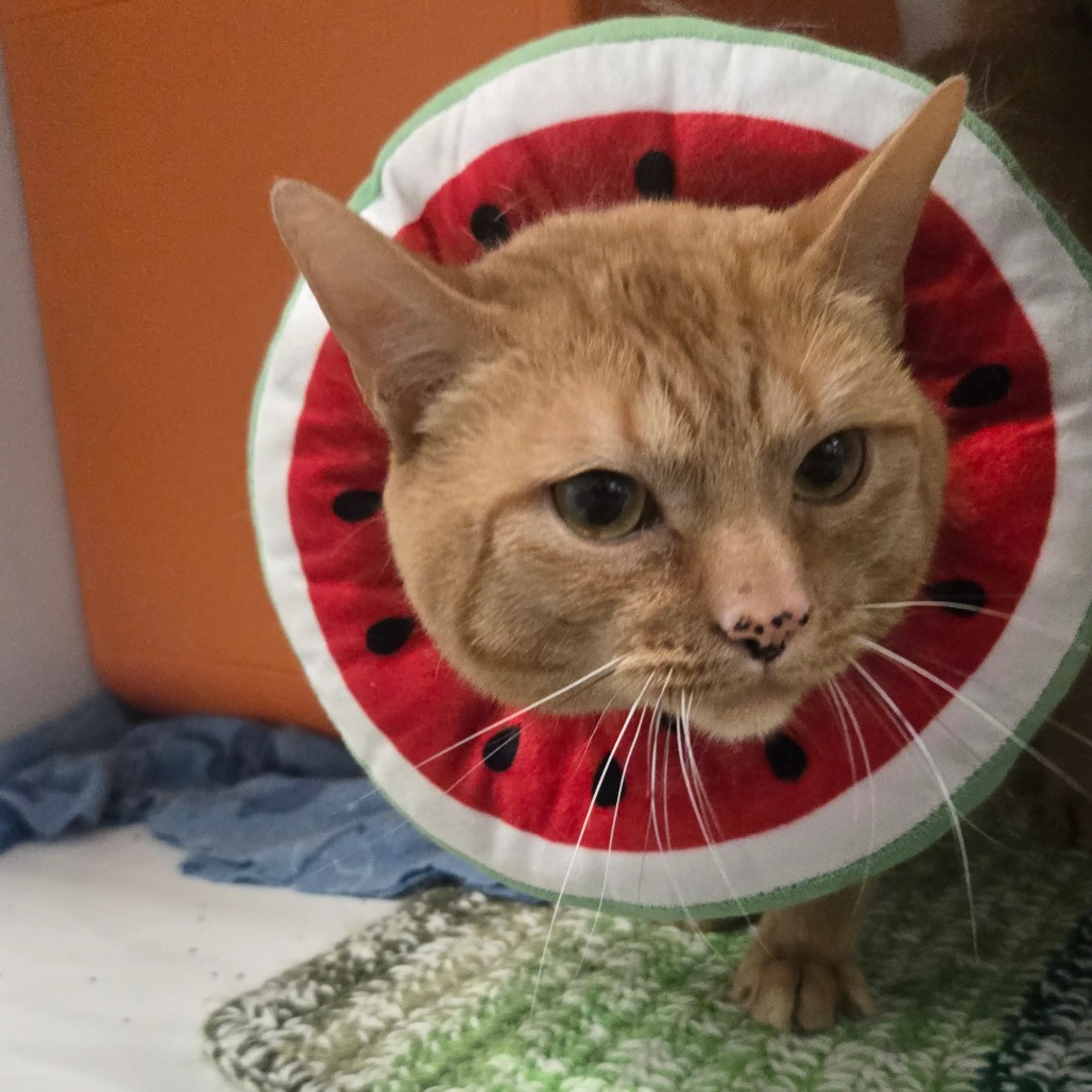 -4