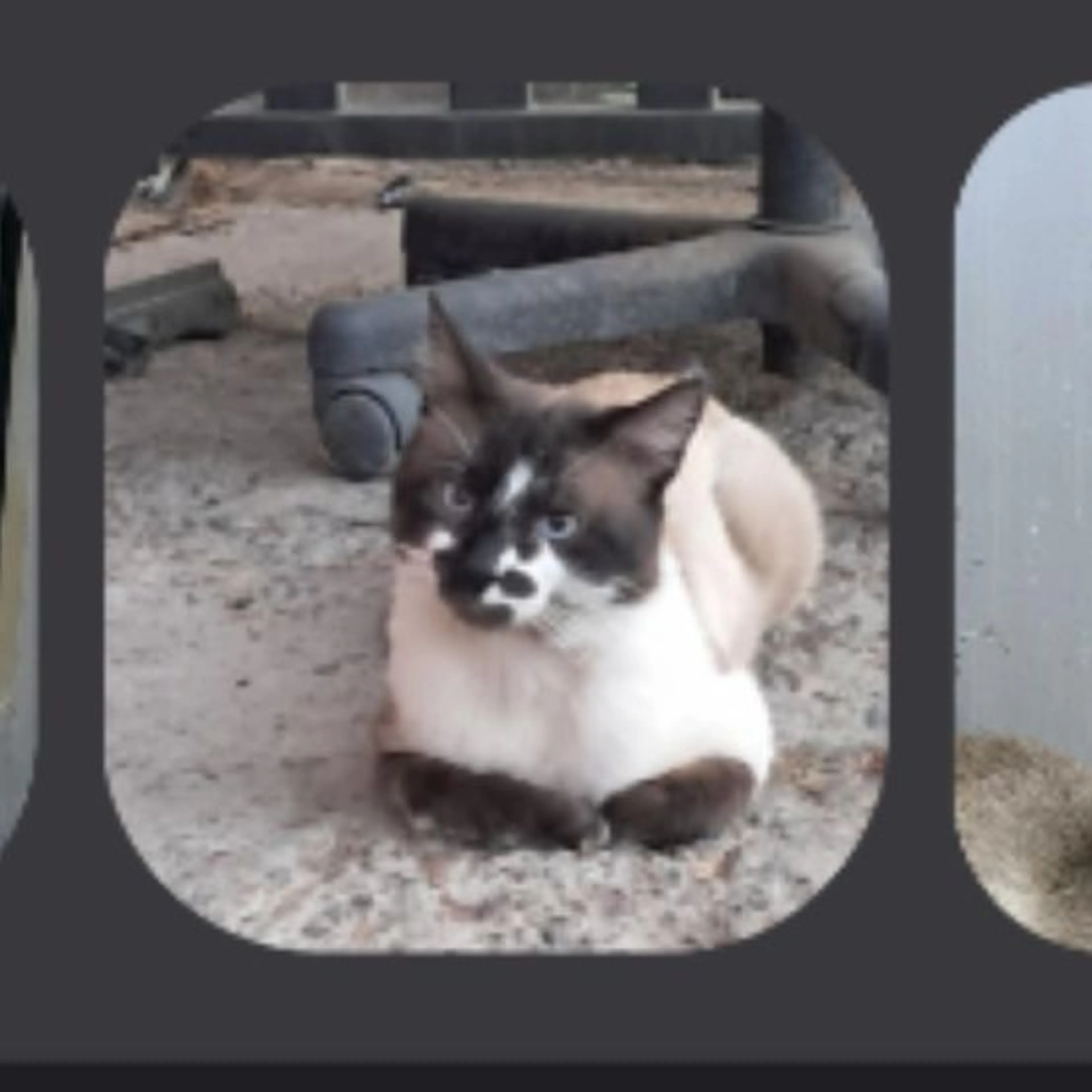 cdn image