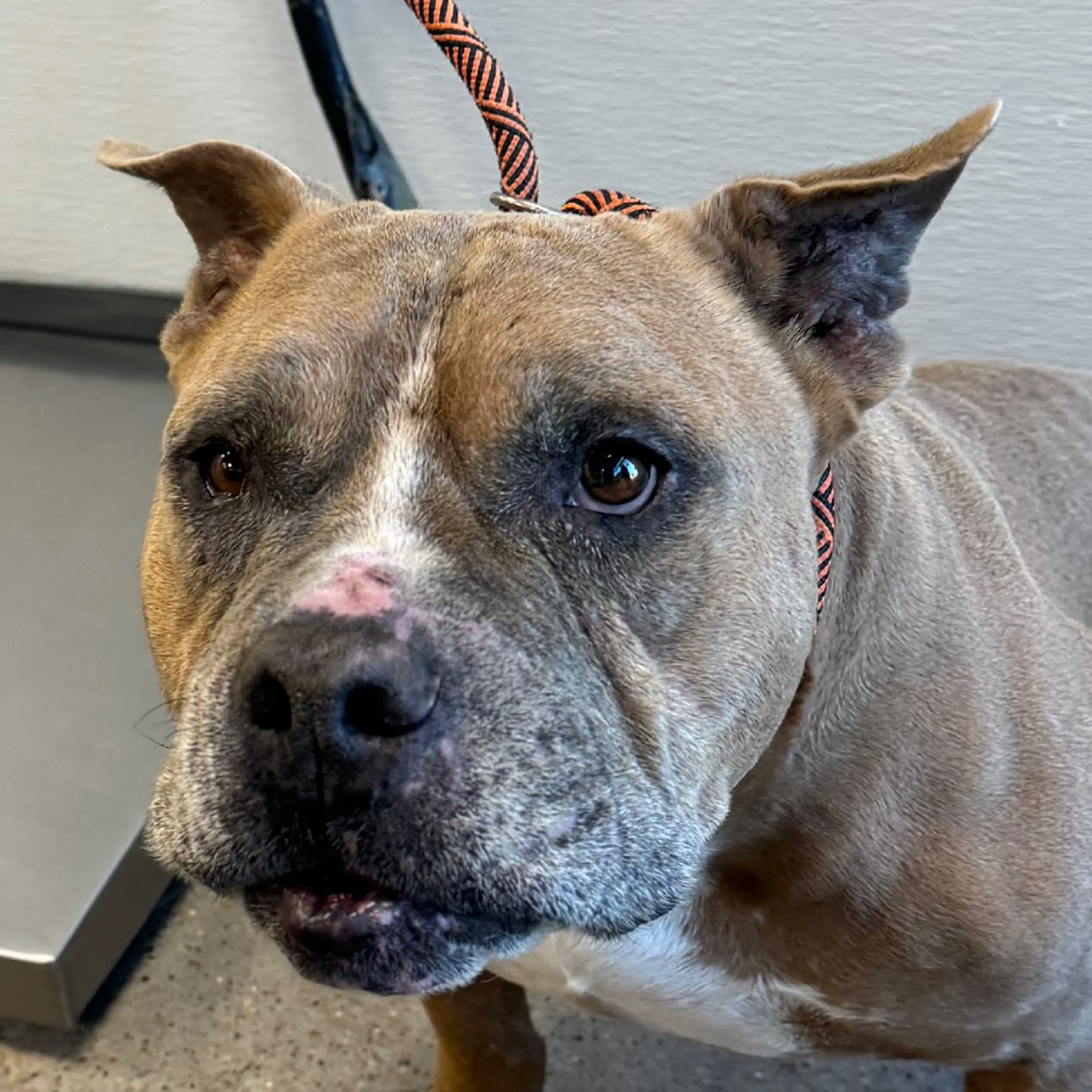 -0