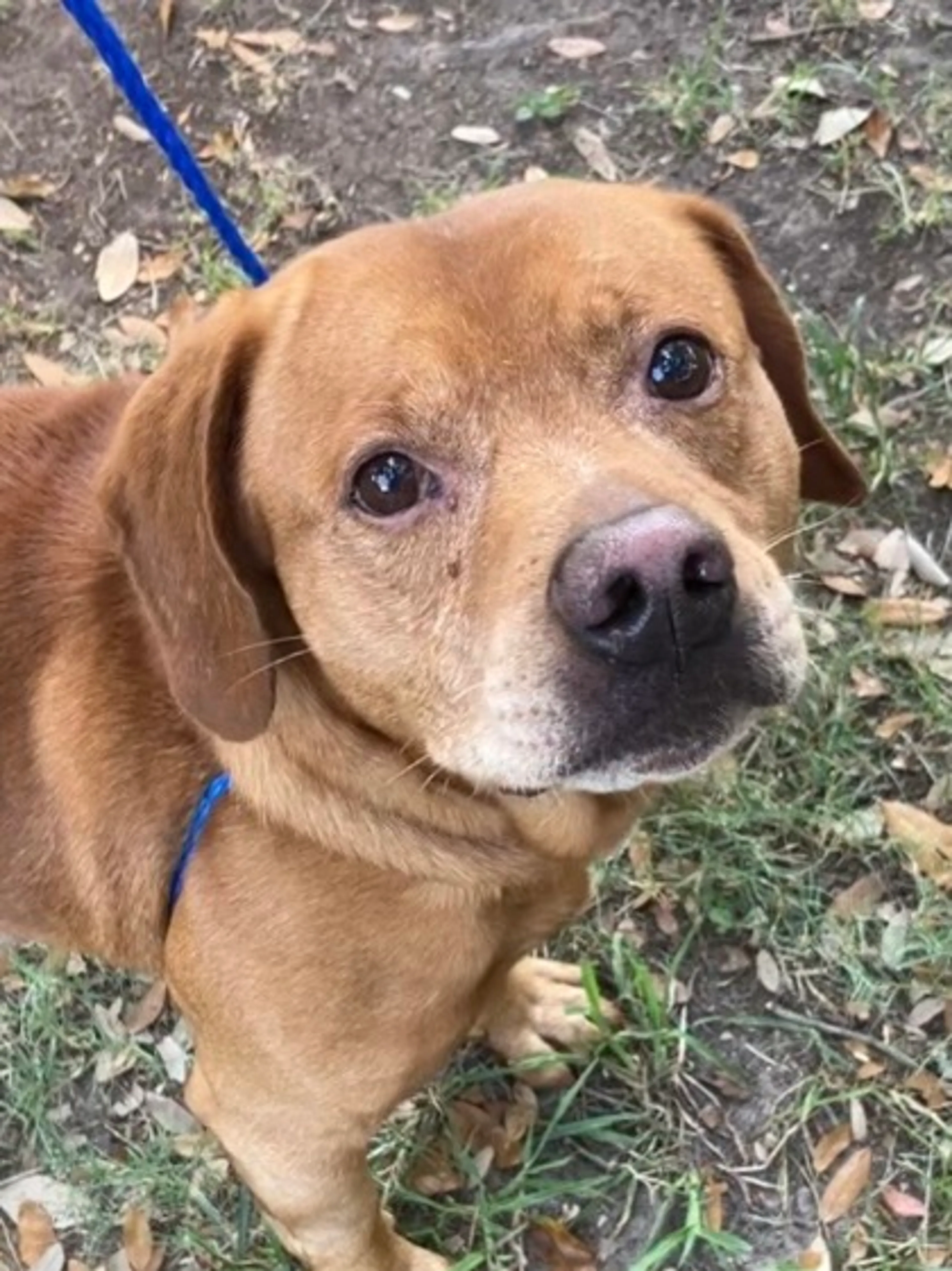 -0