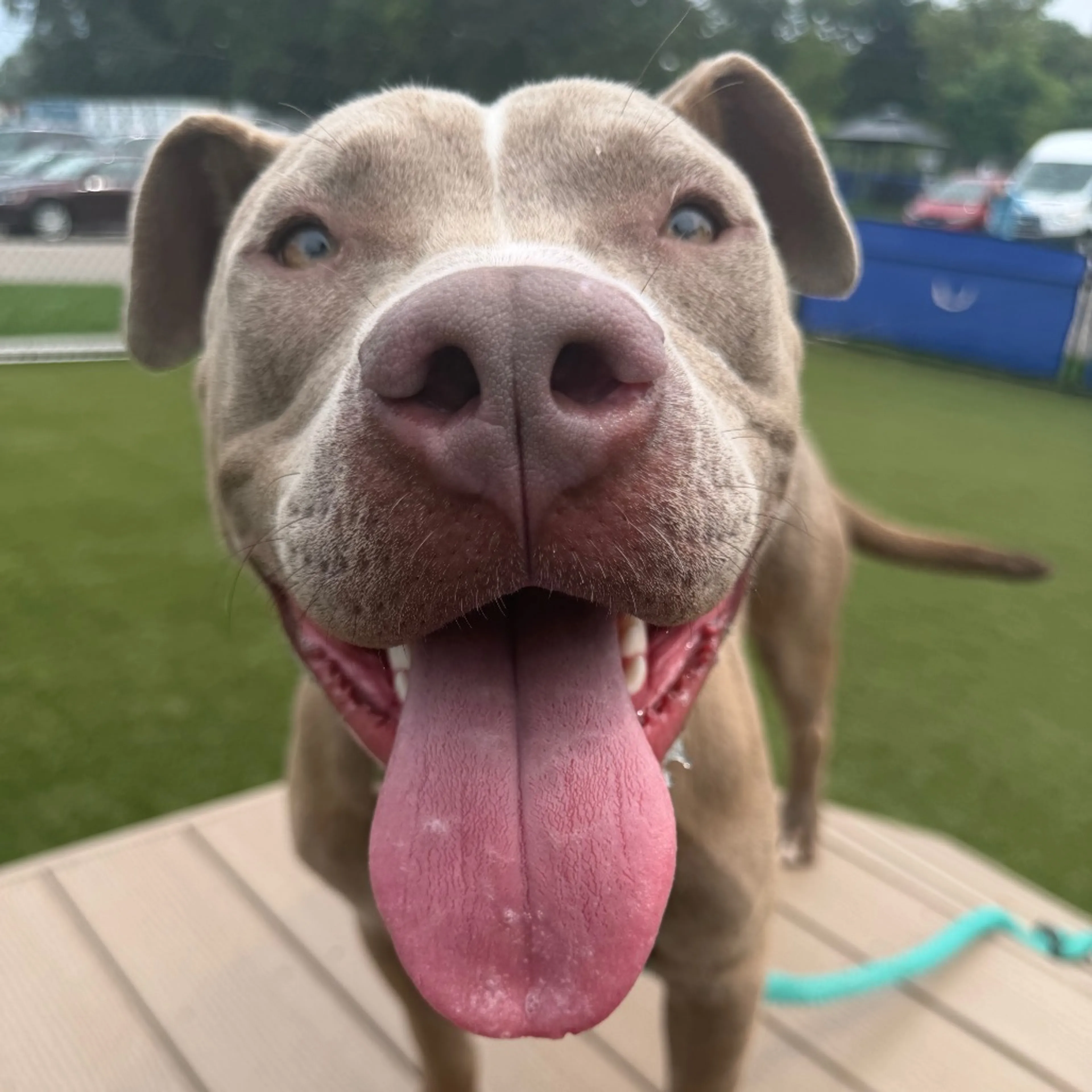 -4