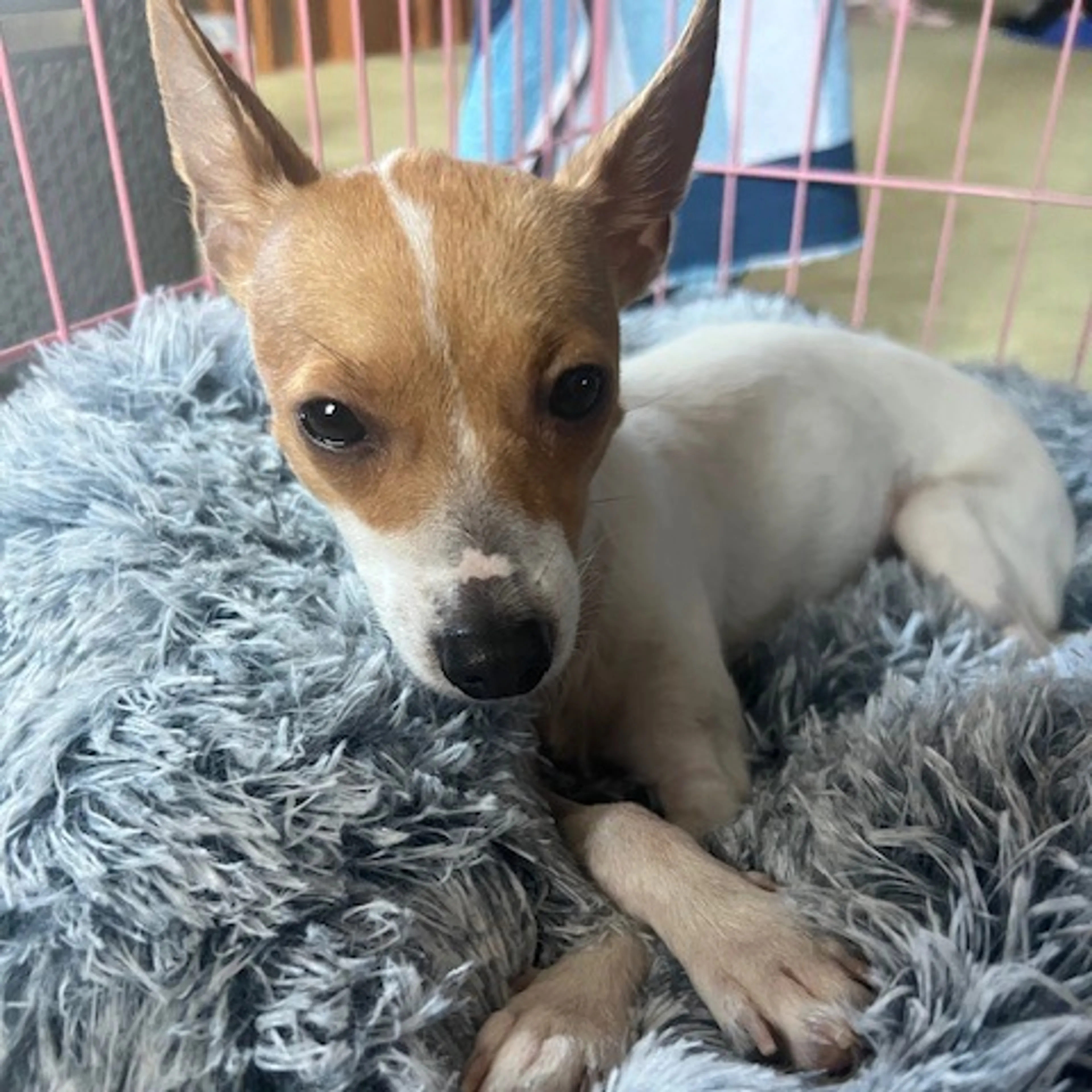 -3