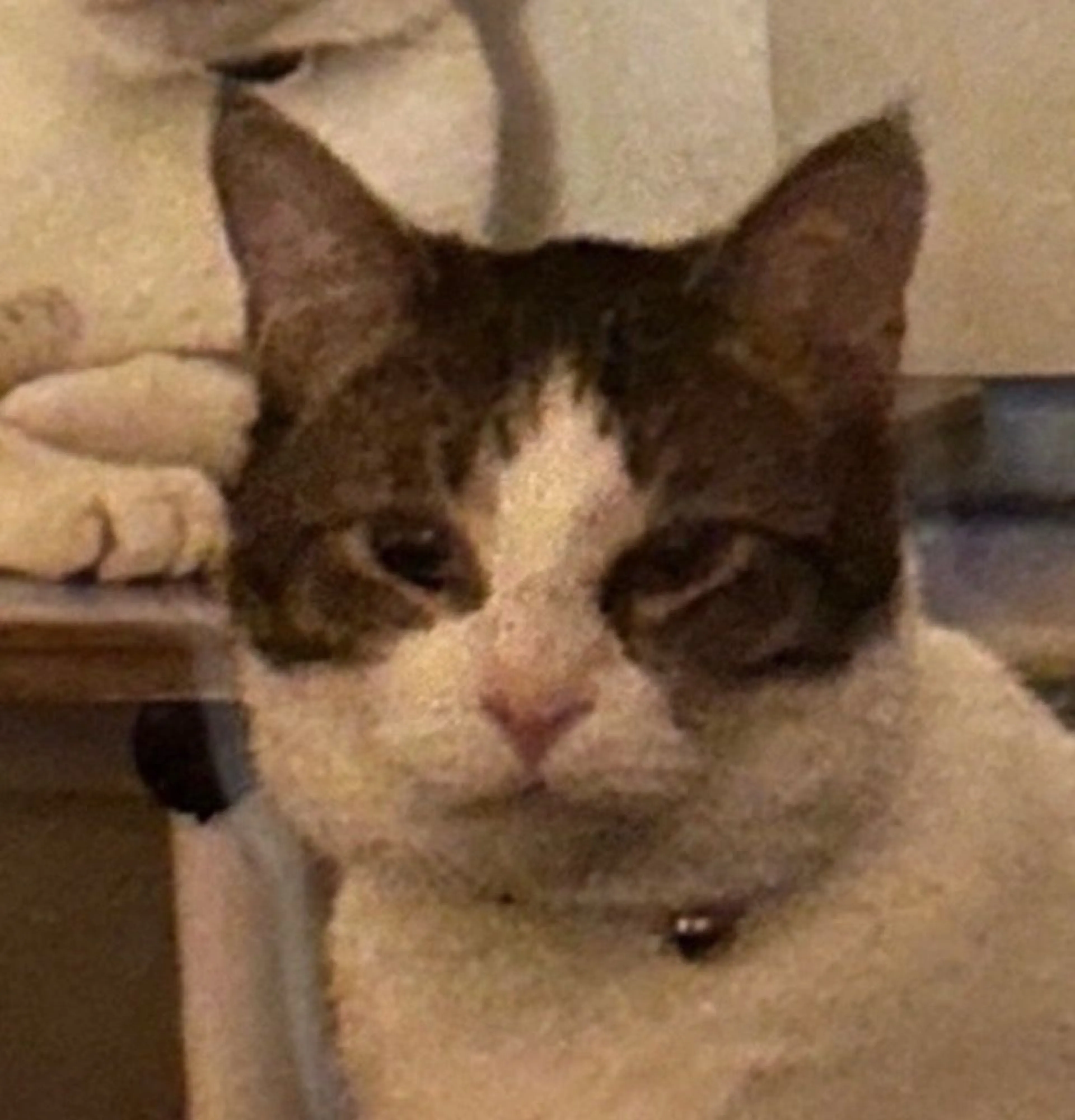 -2