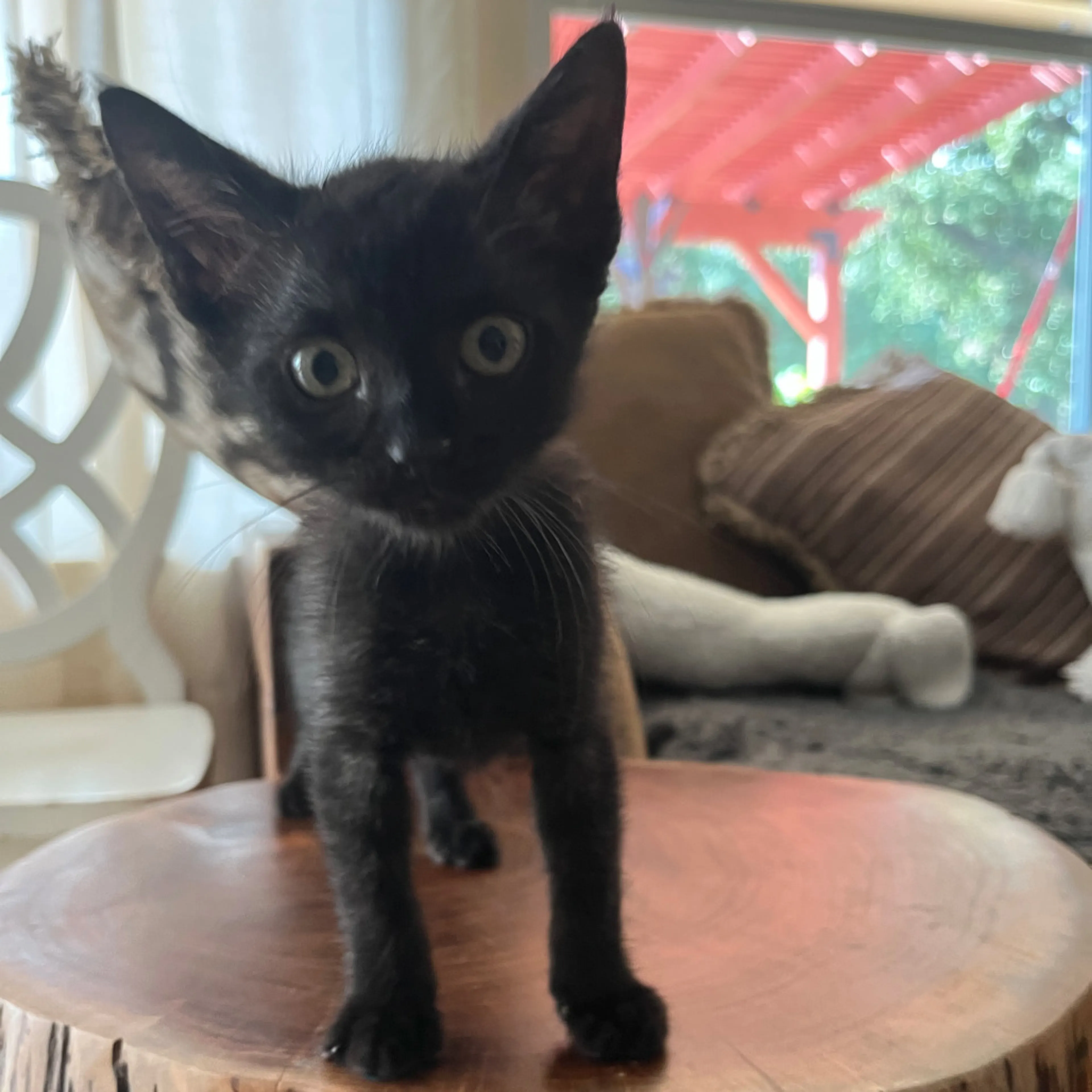 -1