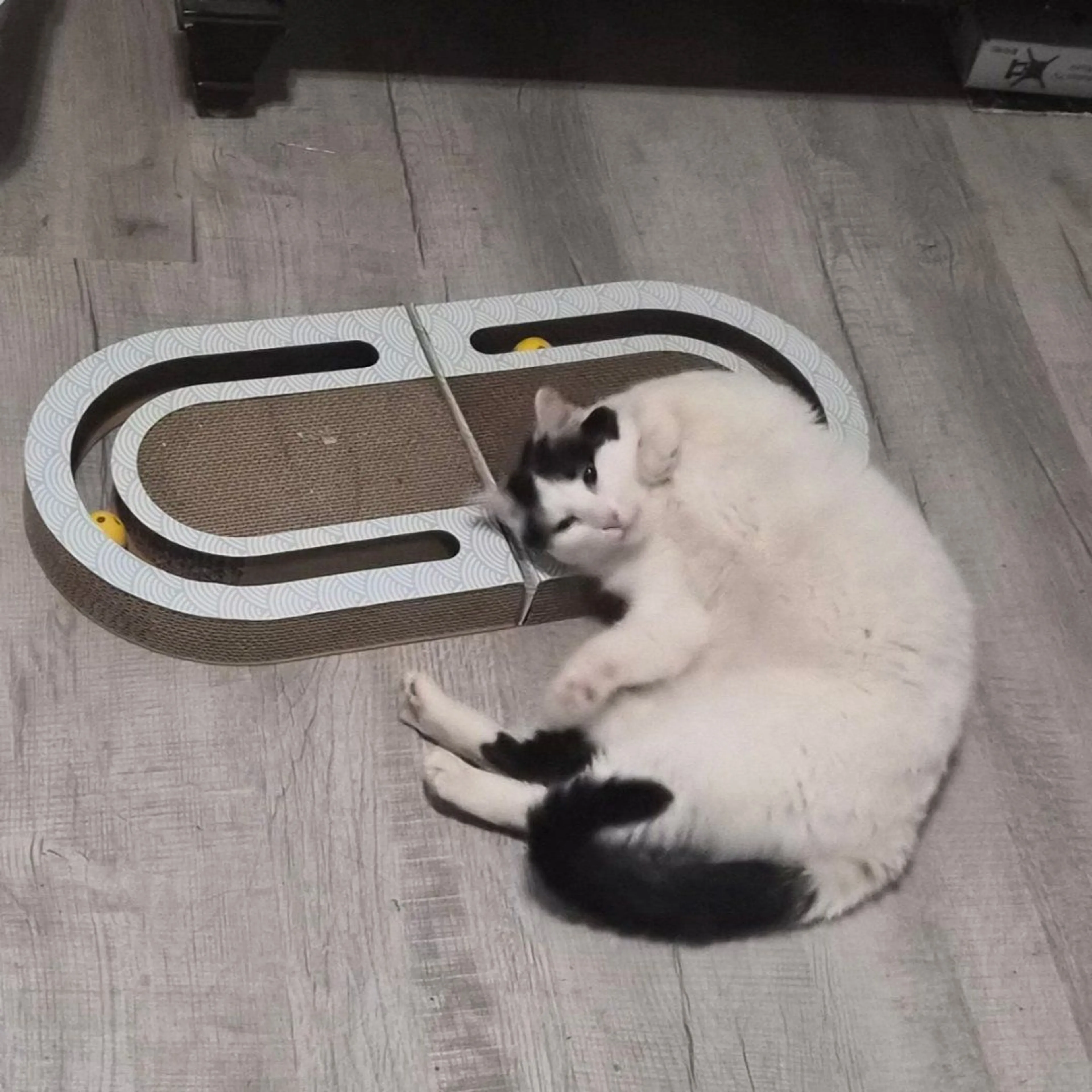 -1