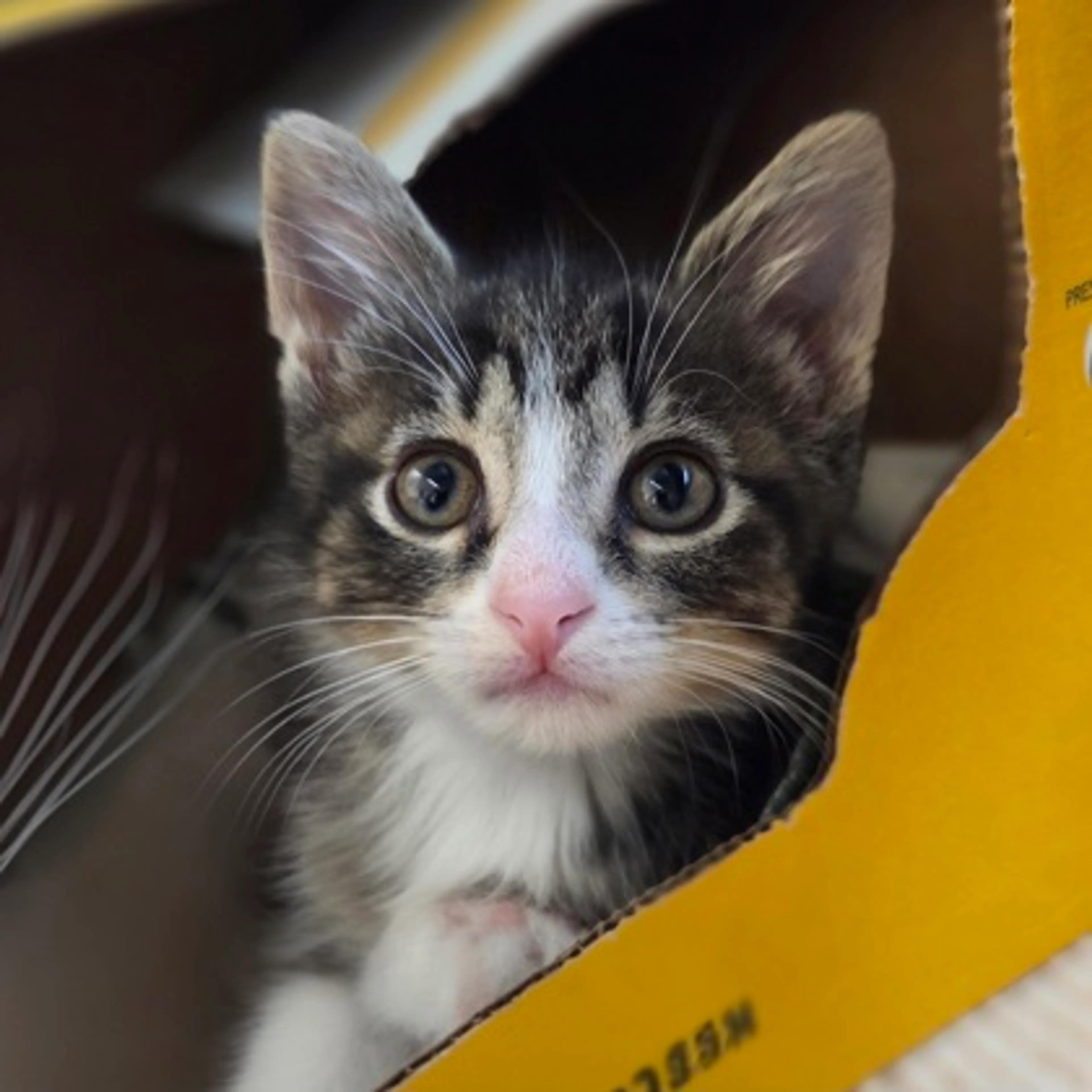 -0