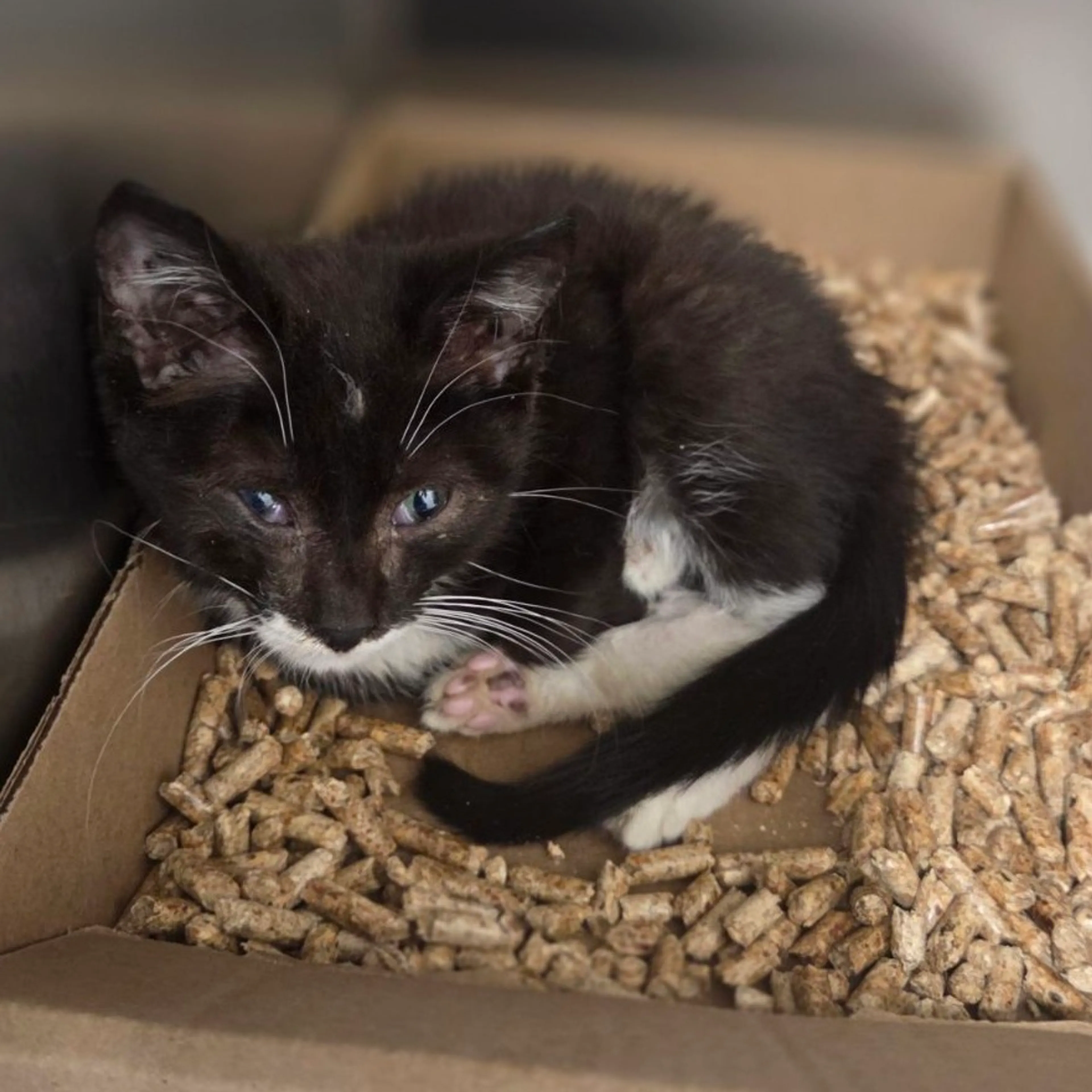 -2