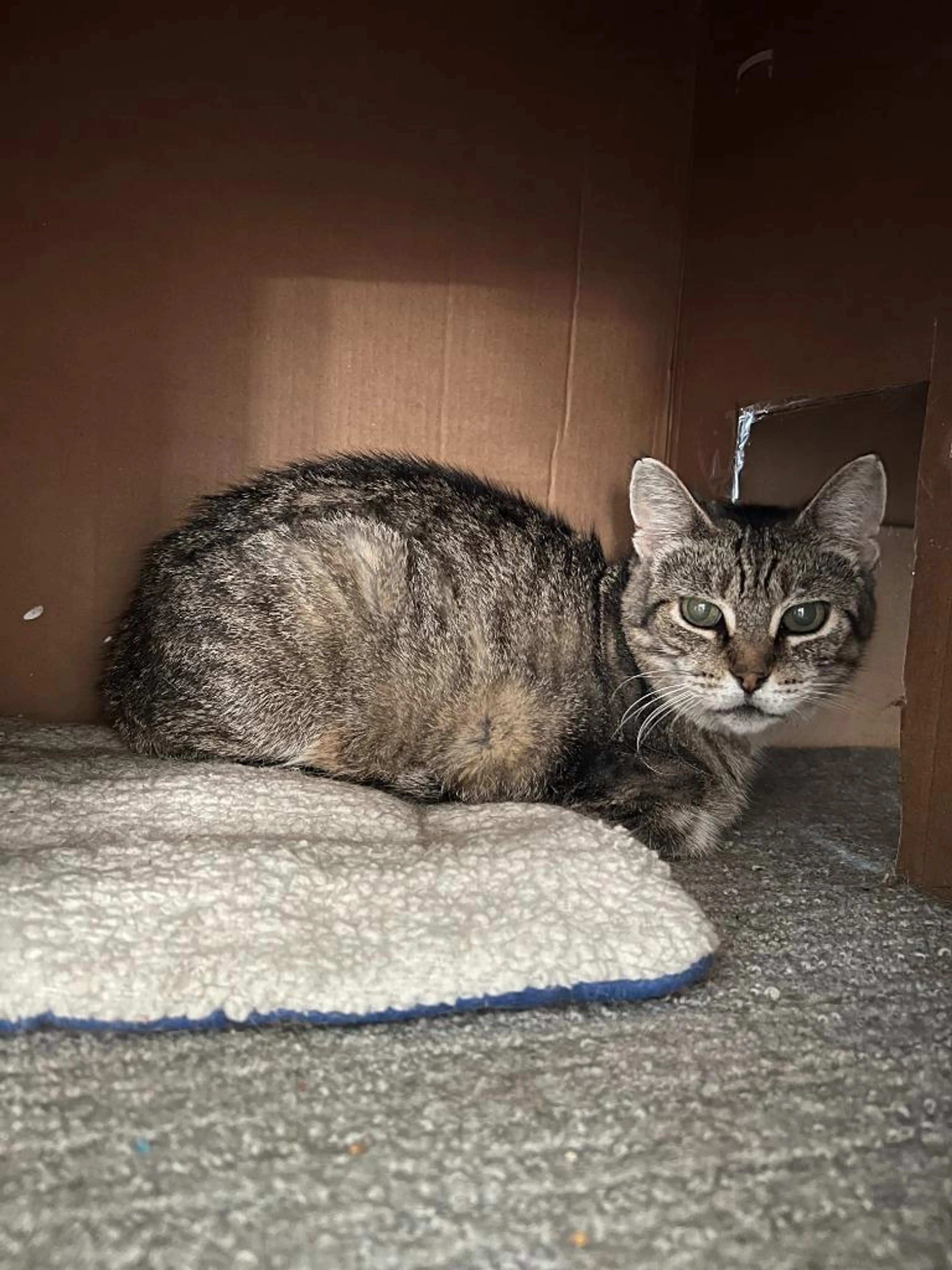 -0