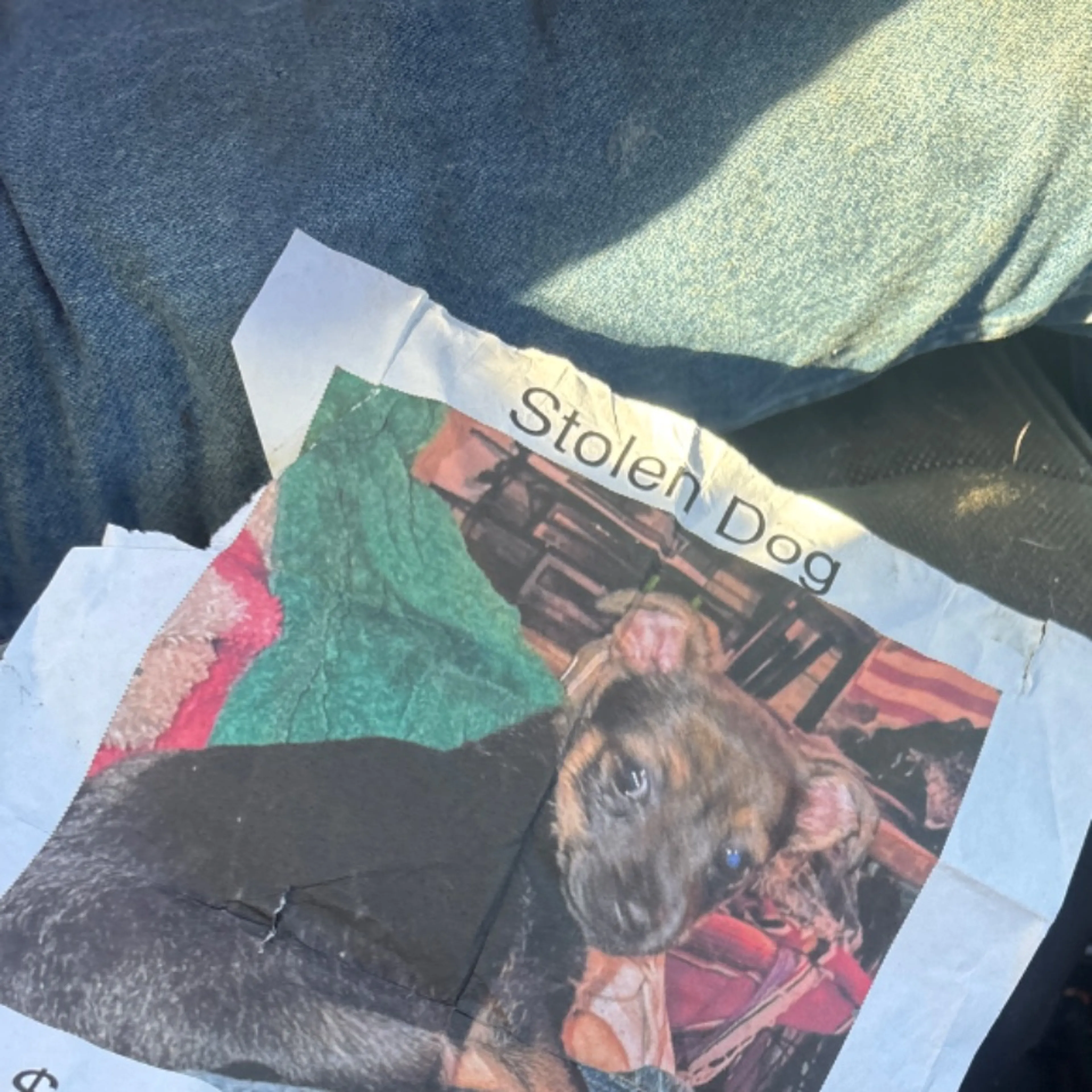 cdn image