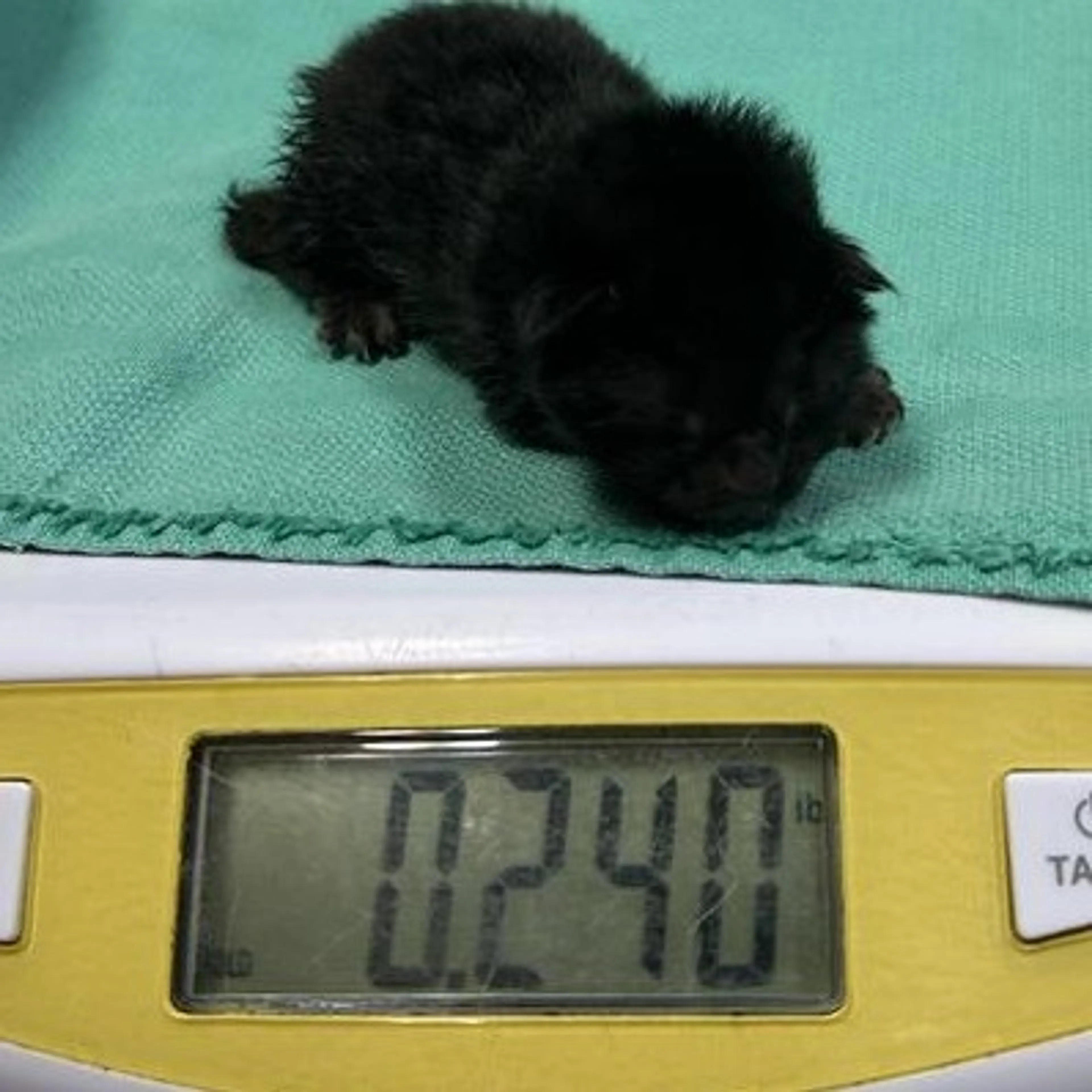 -1
