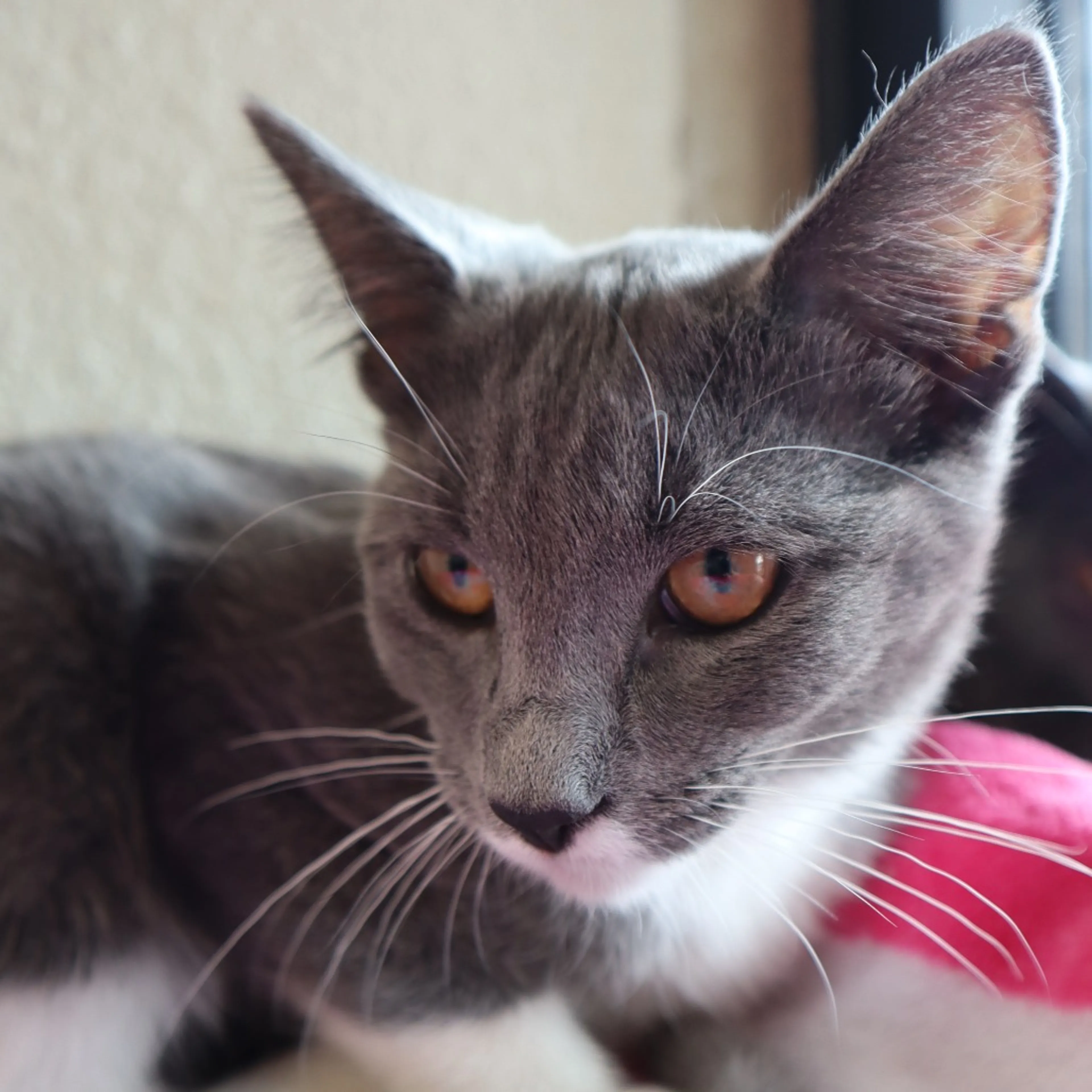 -0