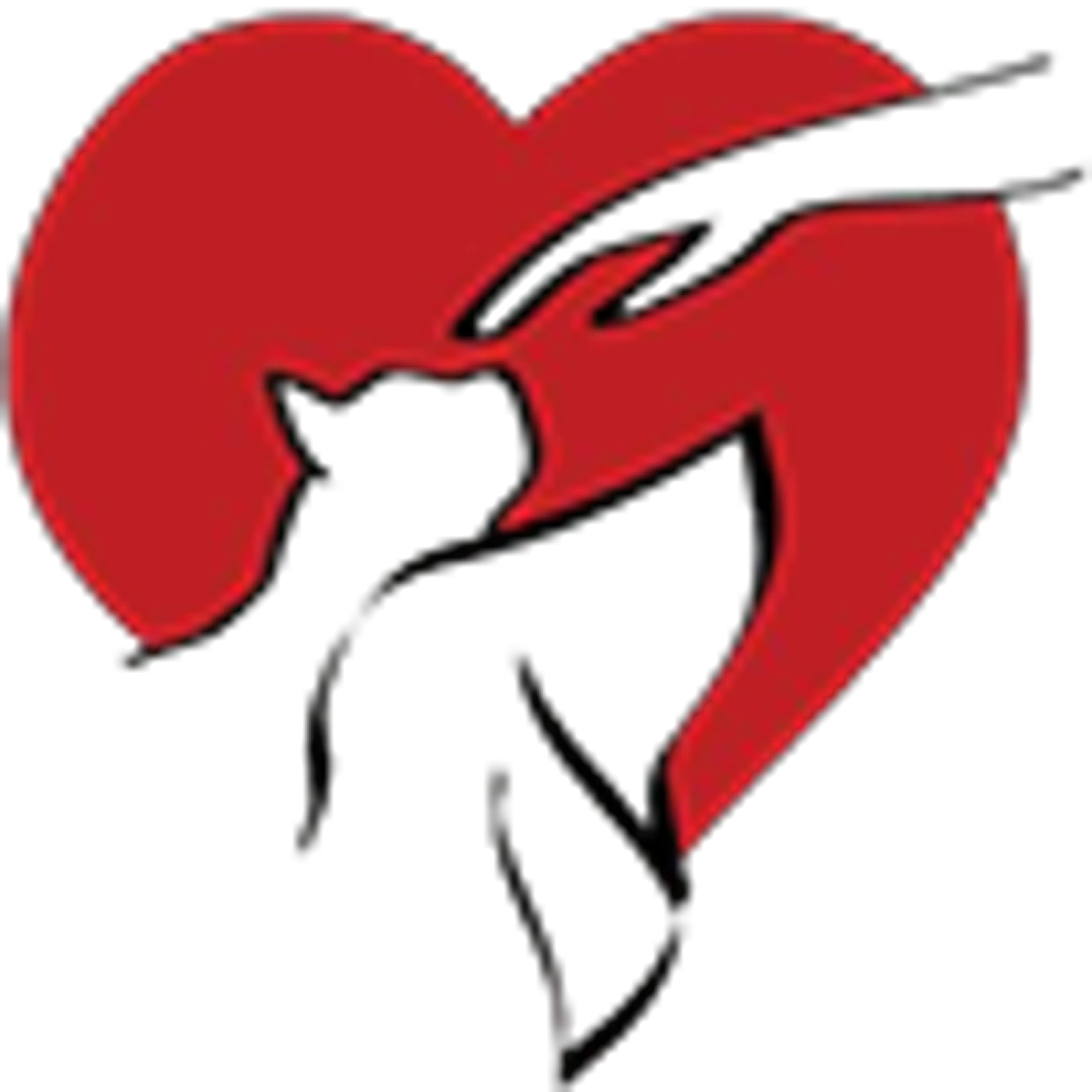 cdn image