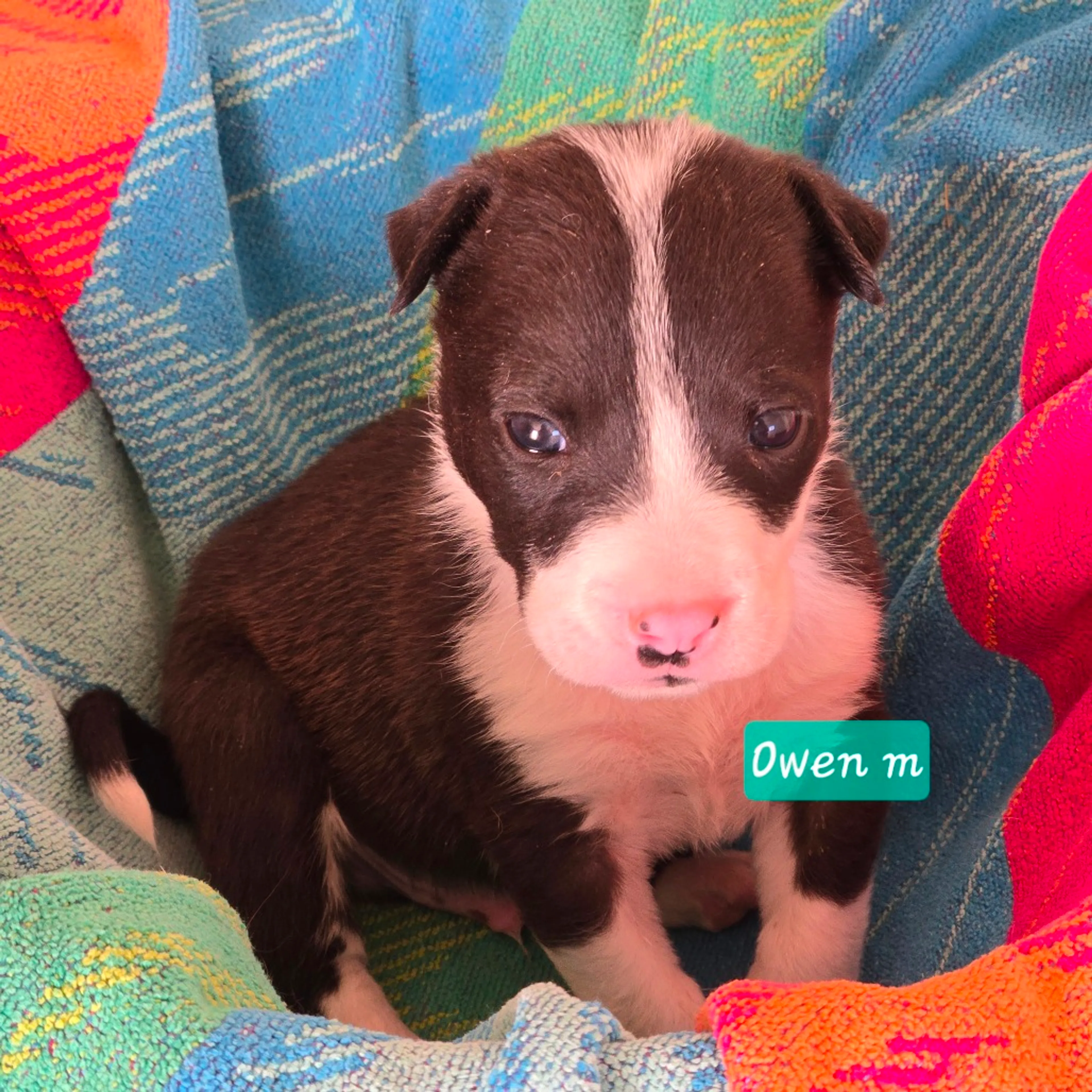 -1