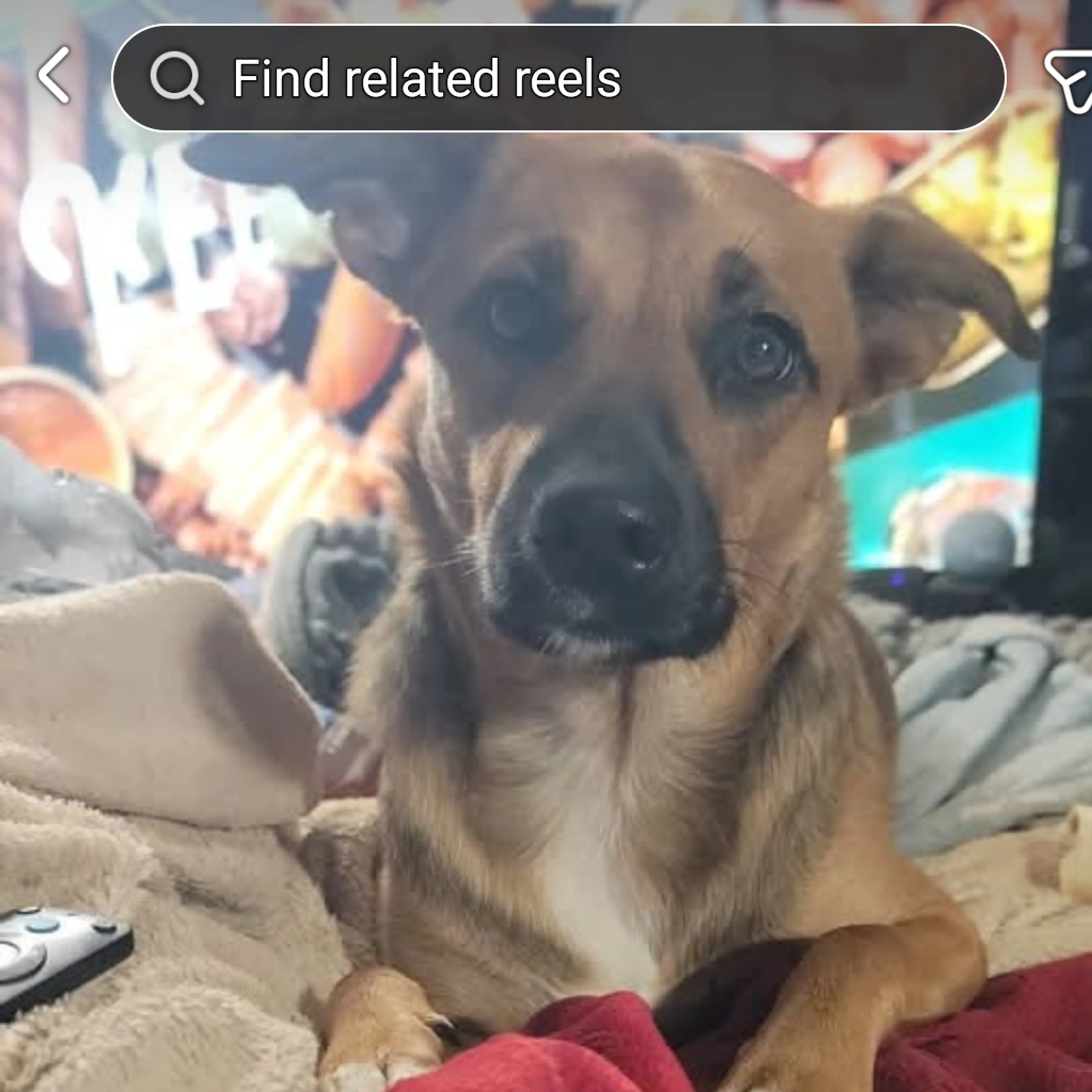 cdn image