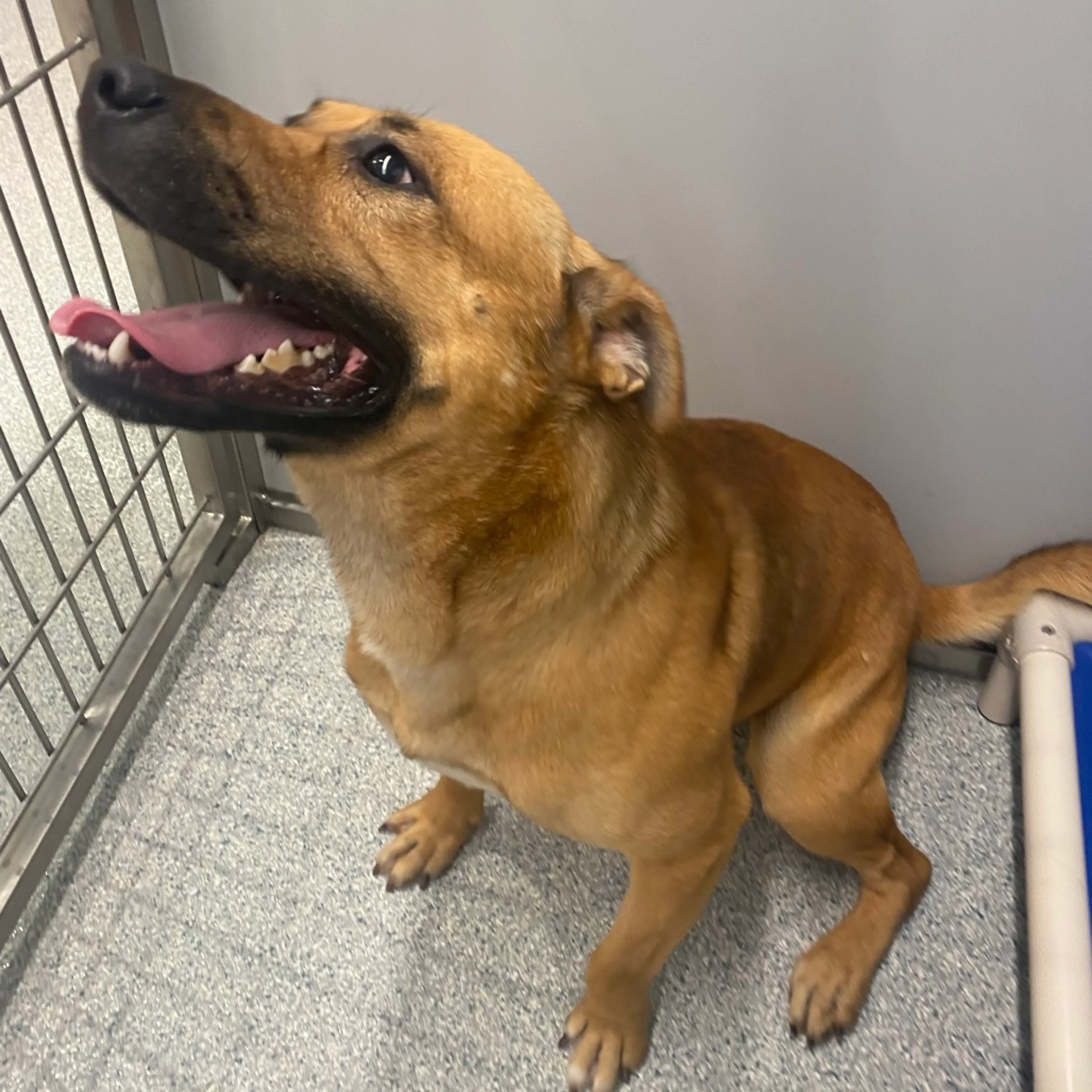 -6