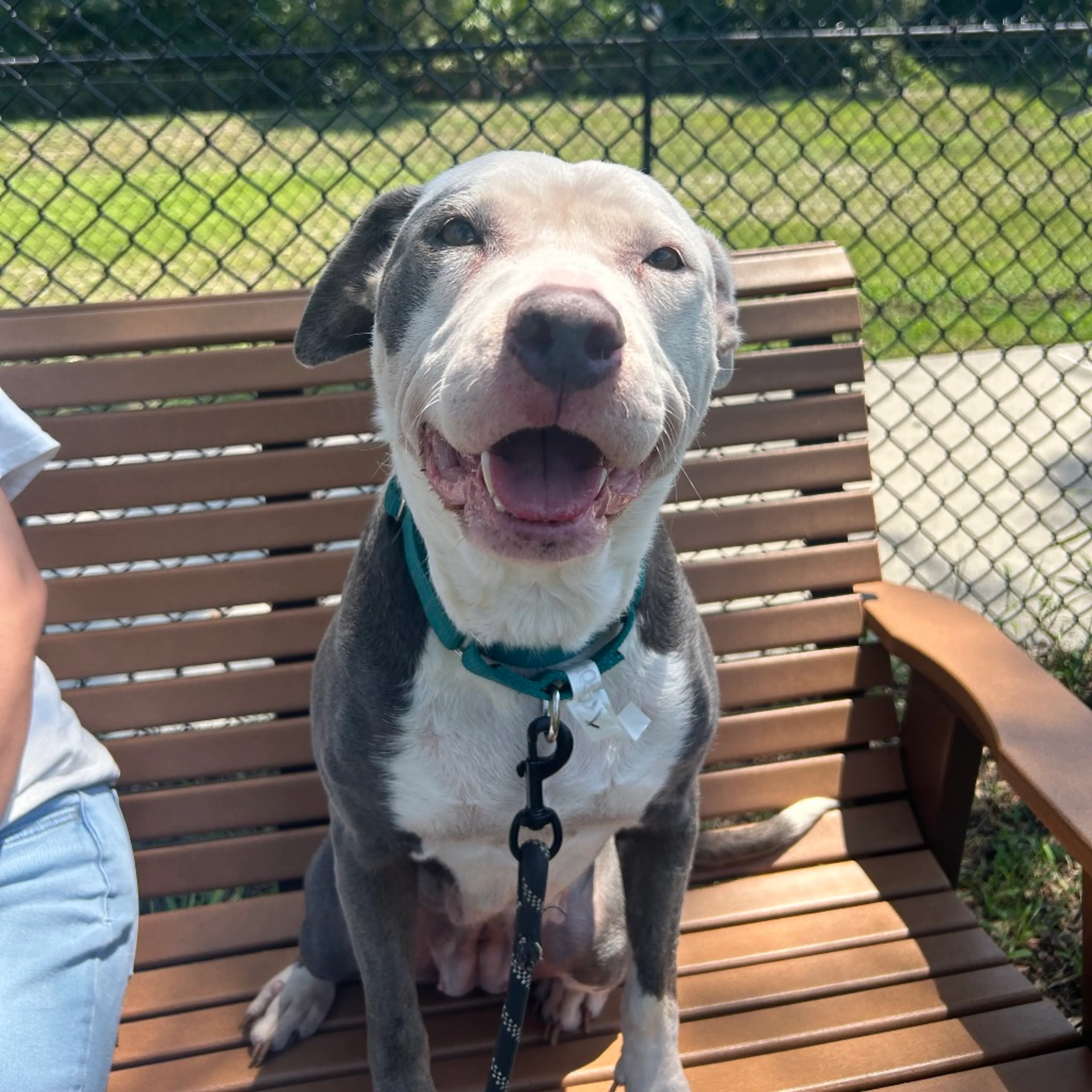 cdn image