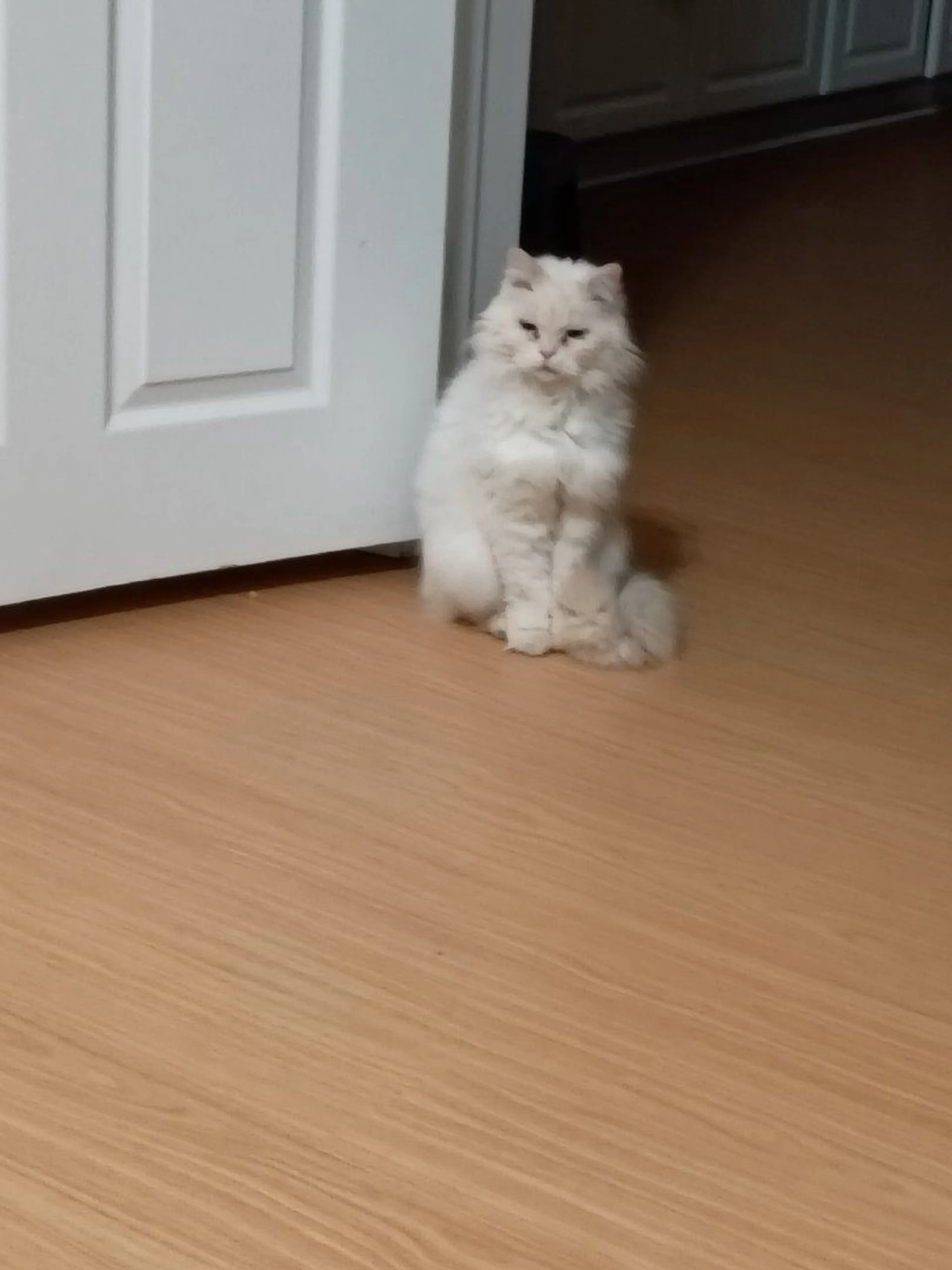 -0