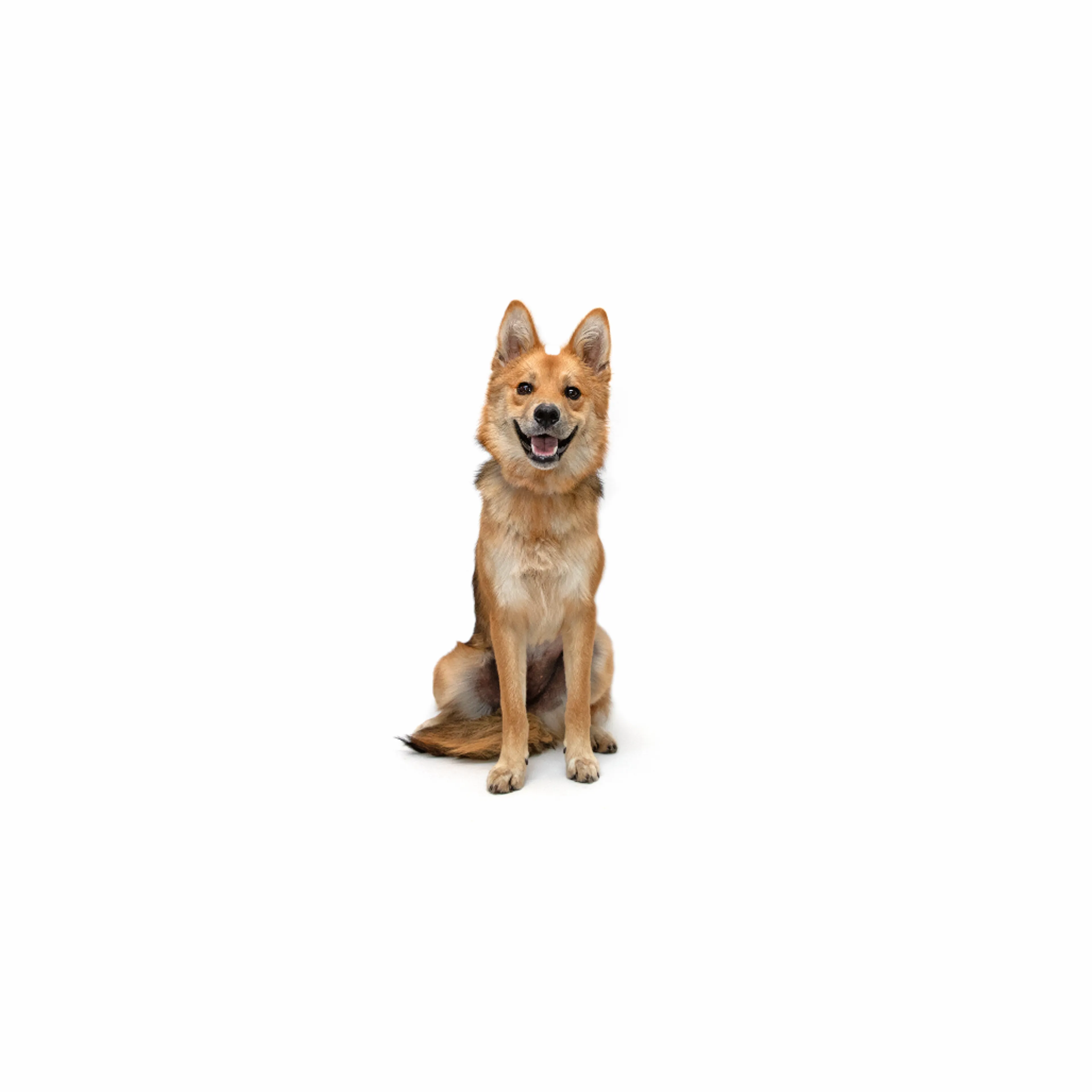 cdn image